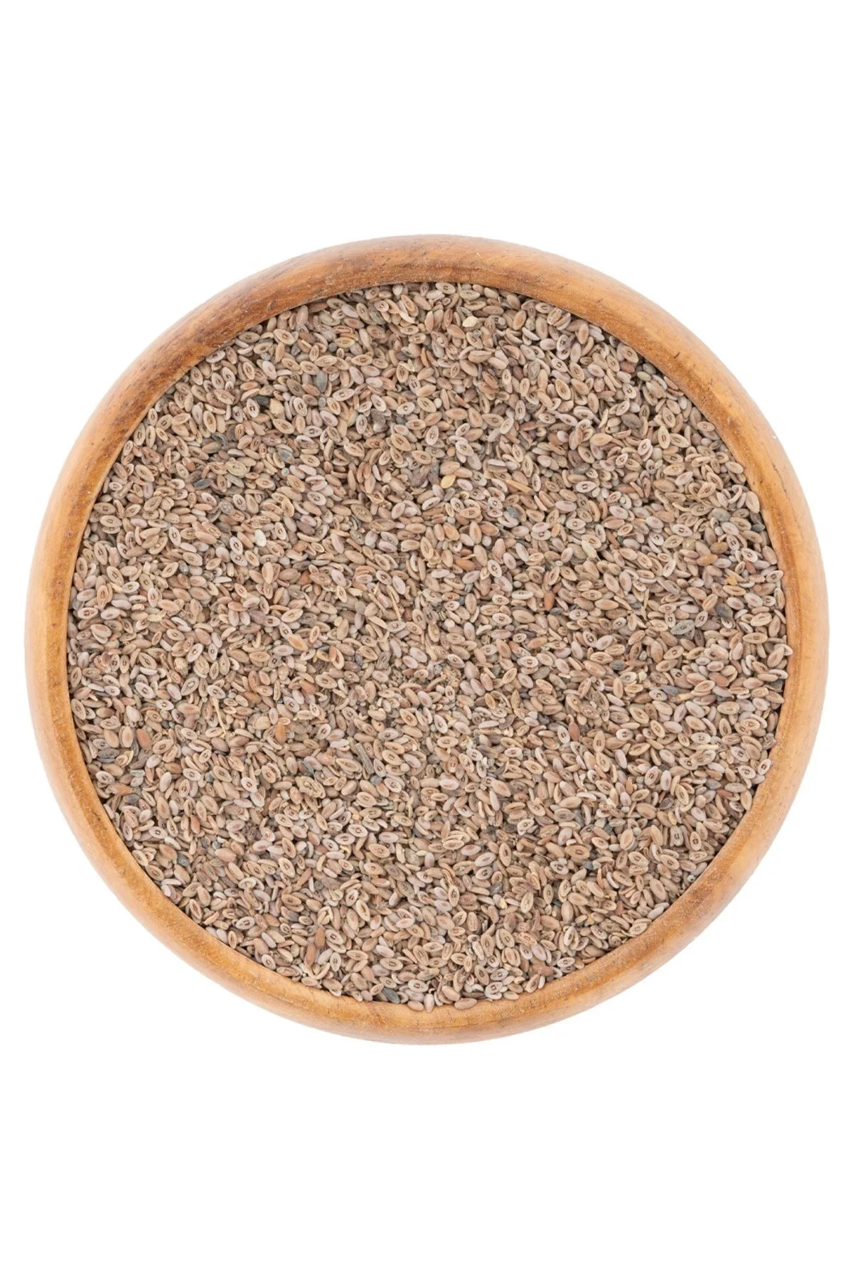 Karnıyarık Otu Tohumu - 50 gr - Psyllium Karnıyarık Otu Tohumu - 50 gr - Psyllium