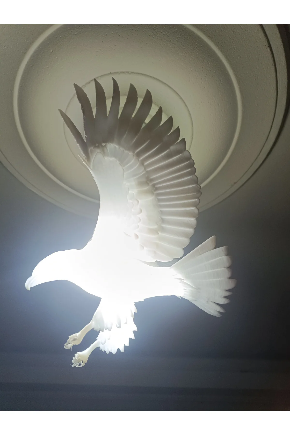 Kartal Avize