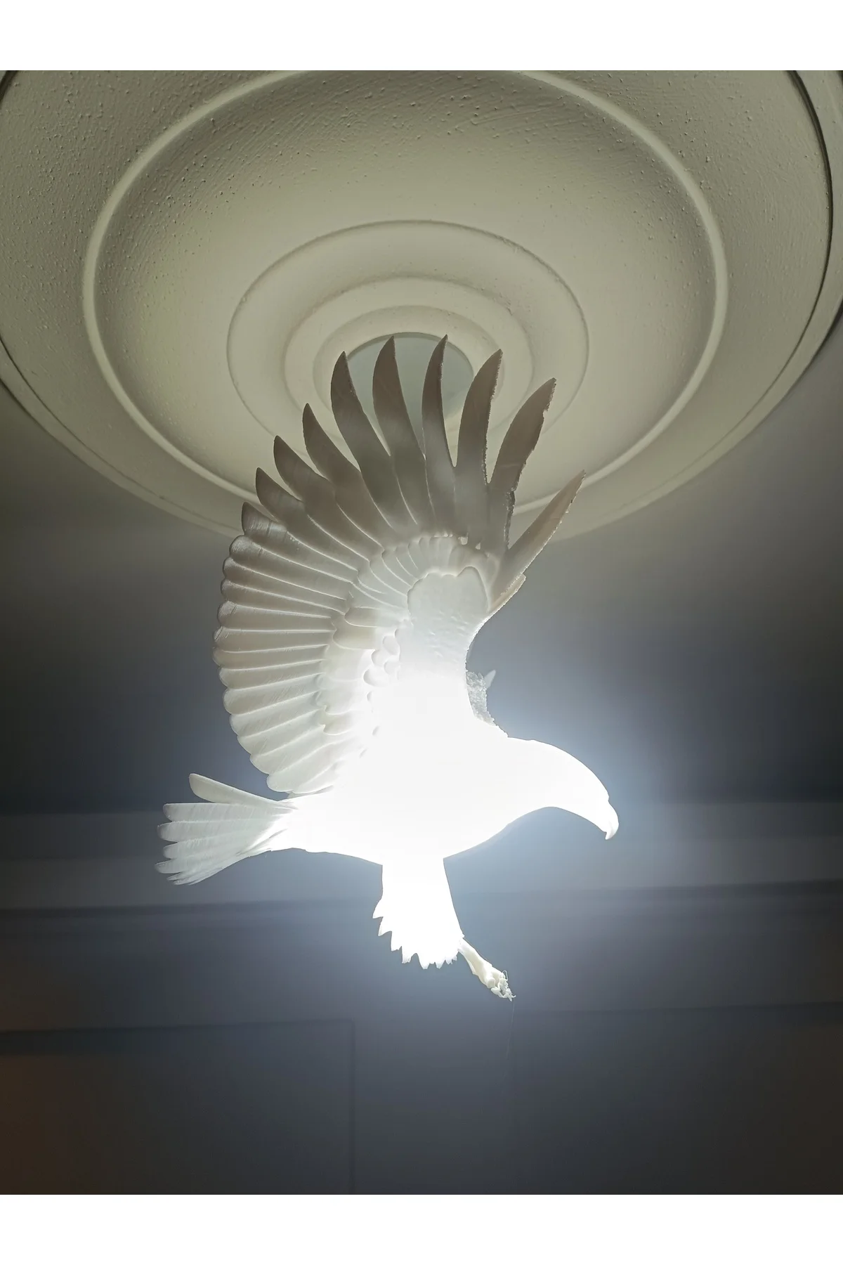 Kartal Avize