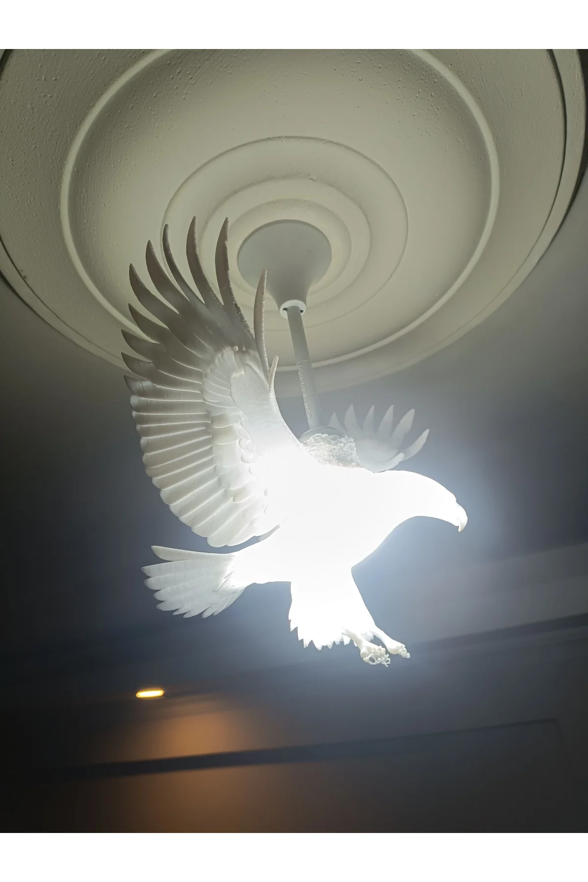 Kartal Avize