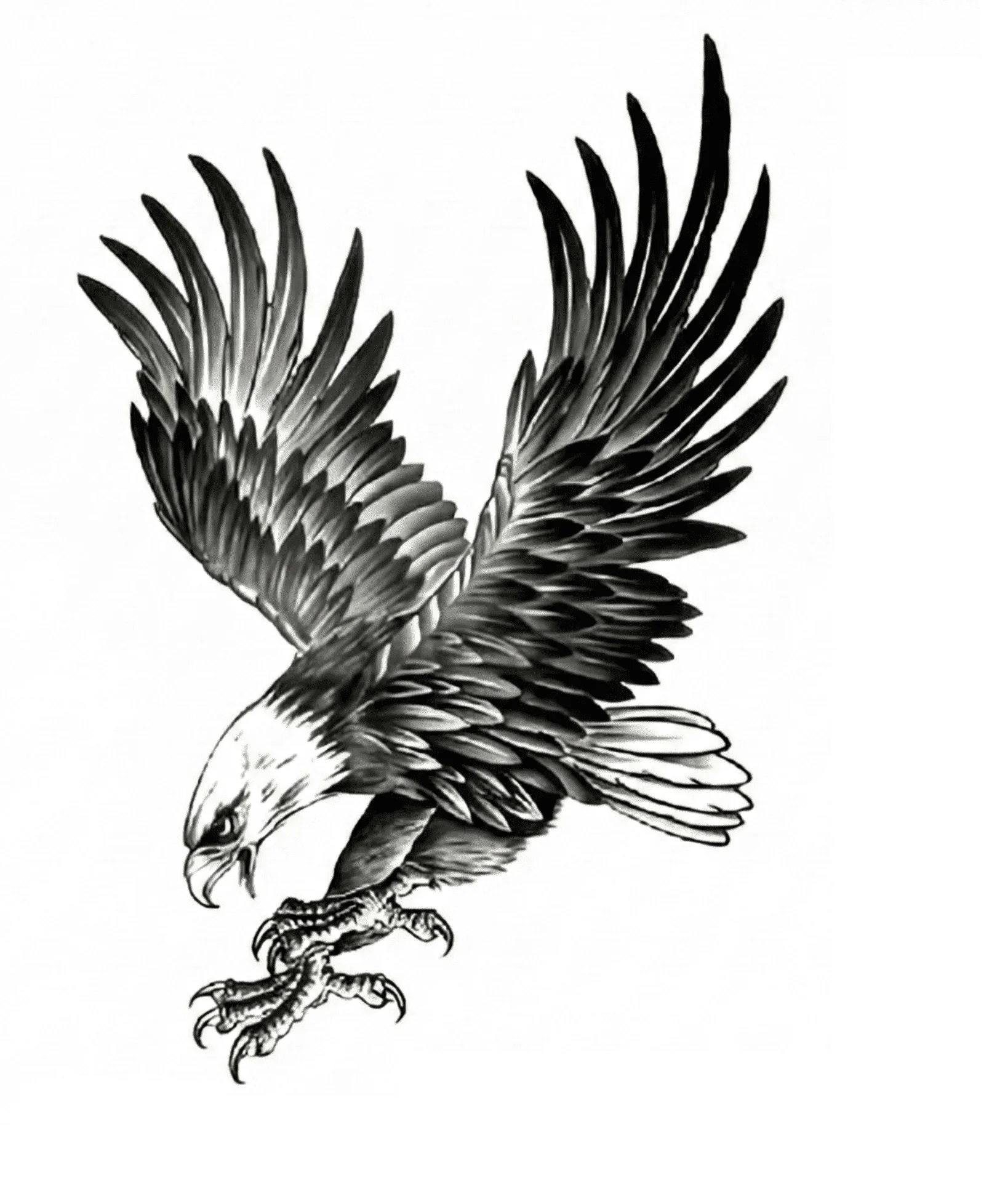 Kartal Geçici Dövme Şablonu Büyük Boy Kartal Geçici Dövme Şablonu Büyük Boy