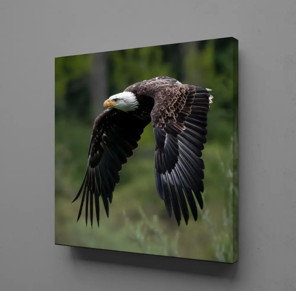 KARTAL KANVAS TABLO KARTAL KANVAS TABLO