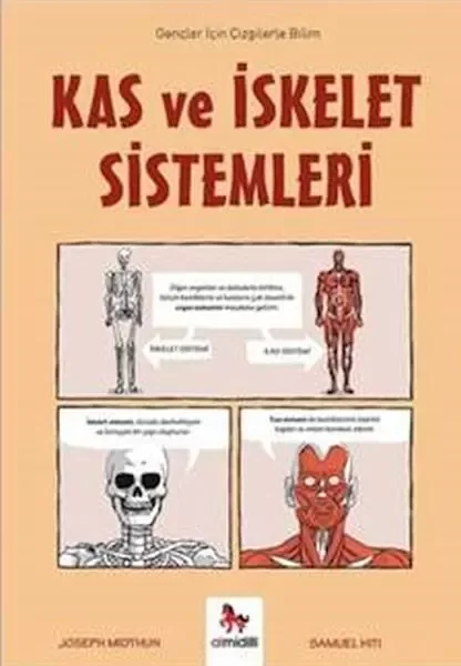Karton Kutu ile Neler Yapılır?