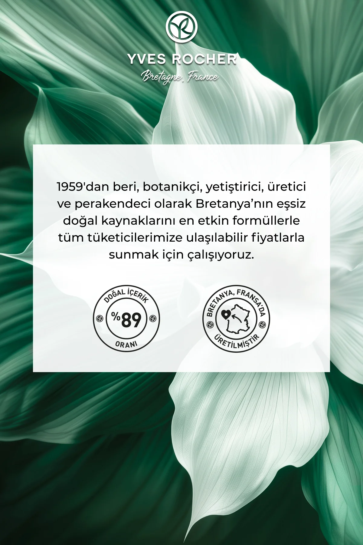 Kaş Sabitleyici Maskara-03. Kestane-54038