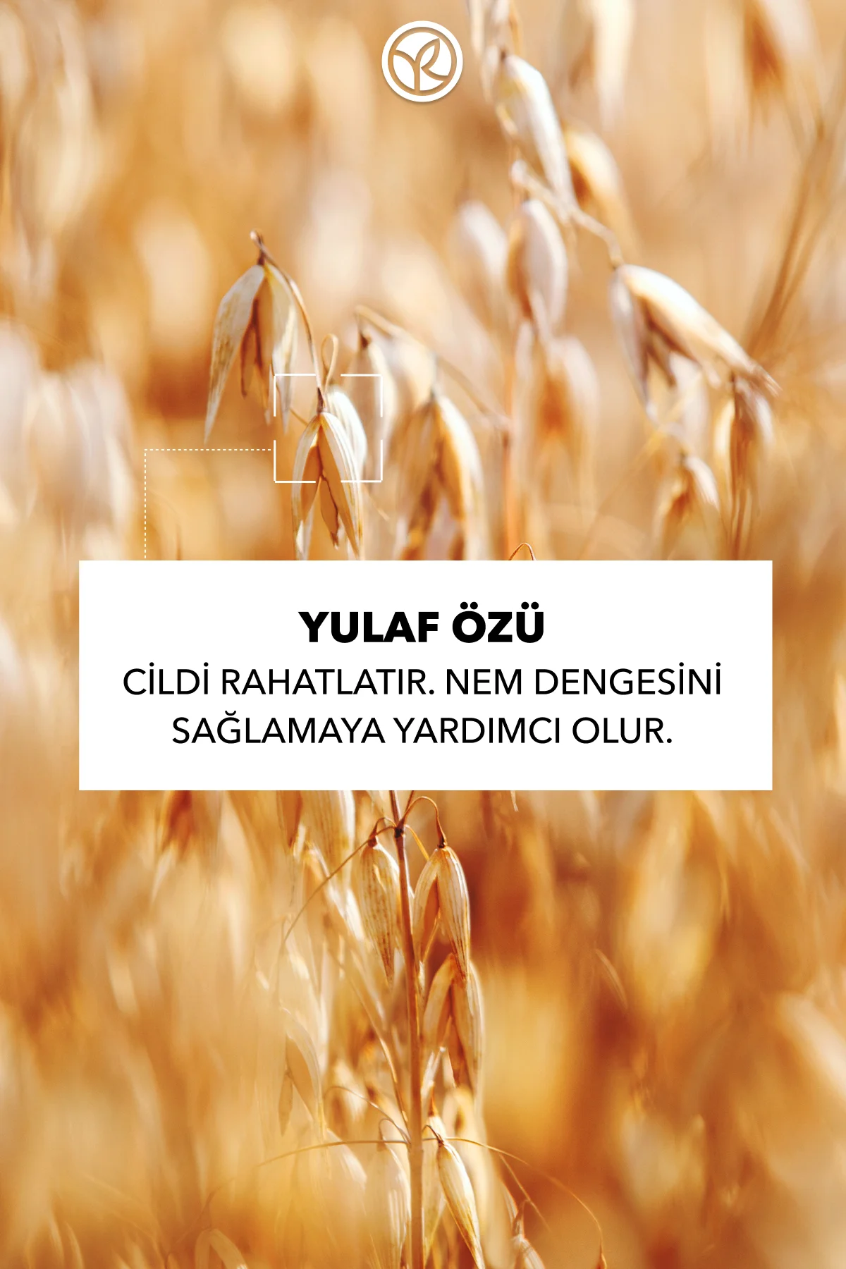 Katı Deodorant - Ter Kokusu Önleyici-50 gr-94316