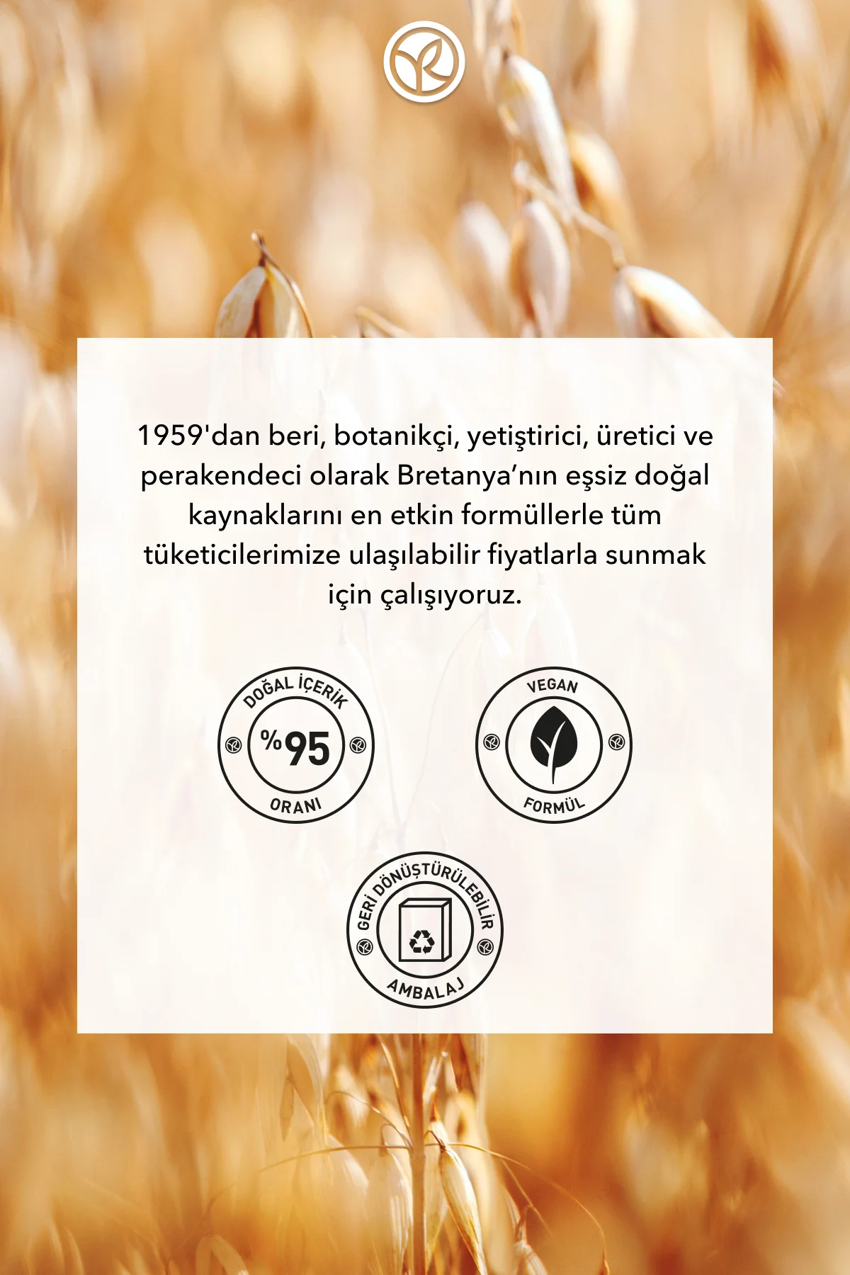 Katı Deodorant - Ter Kokusu Önleyici-50 gr-94316