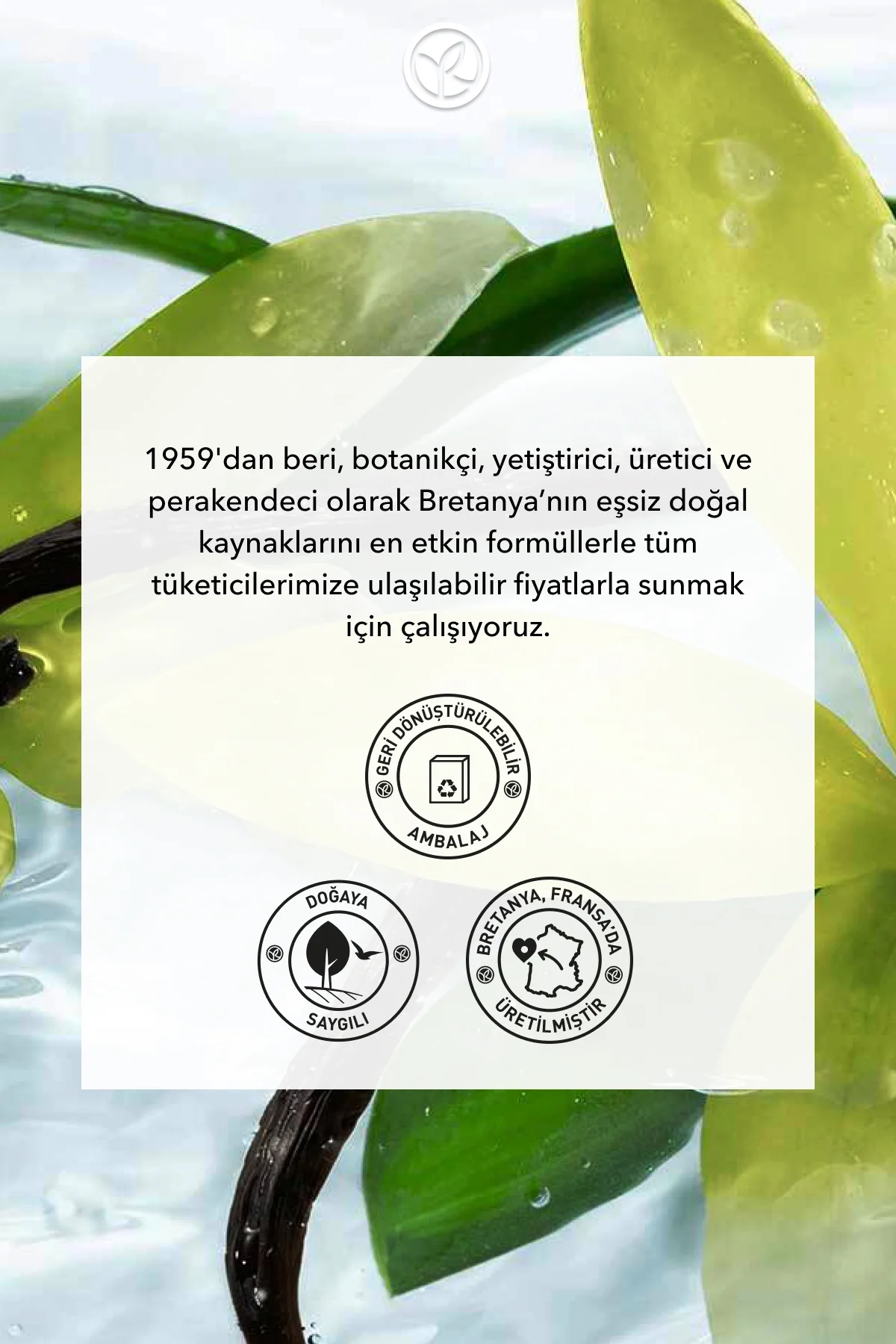 Katı Duş Jeli - Nemlendirici Egzotik Vanilya-SLS,SLES İçermez,Veg