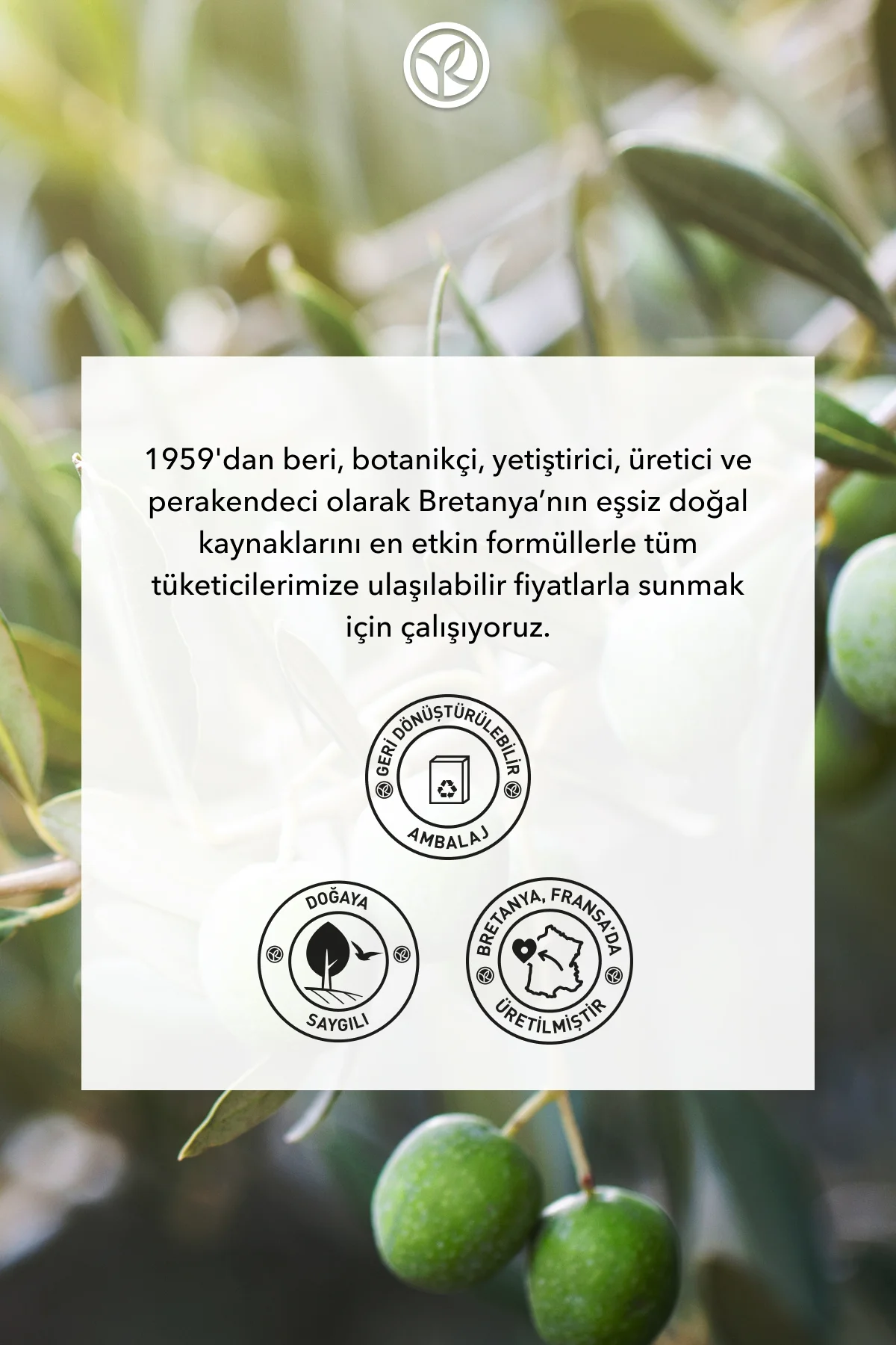 Katı Sabun - Ferahlatıcı Zeytin Turunç -SLS,SLES İçermez,Vegan-80
