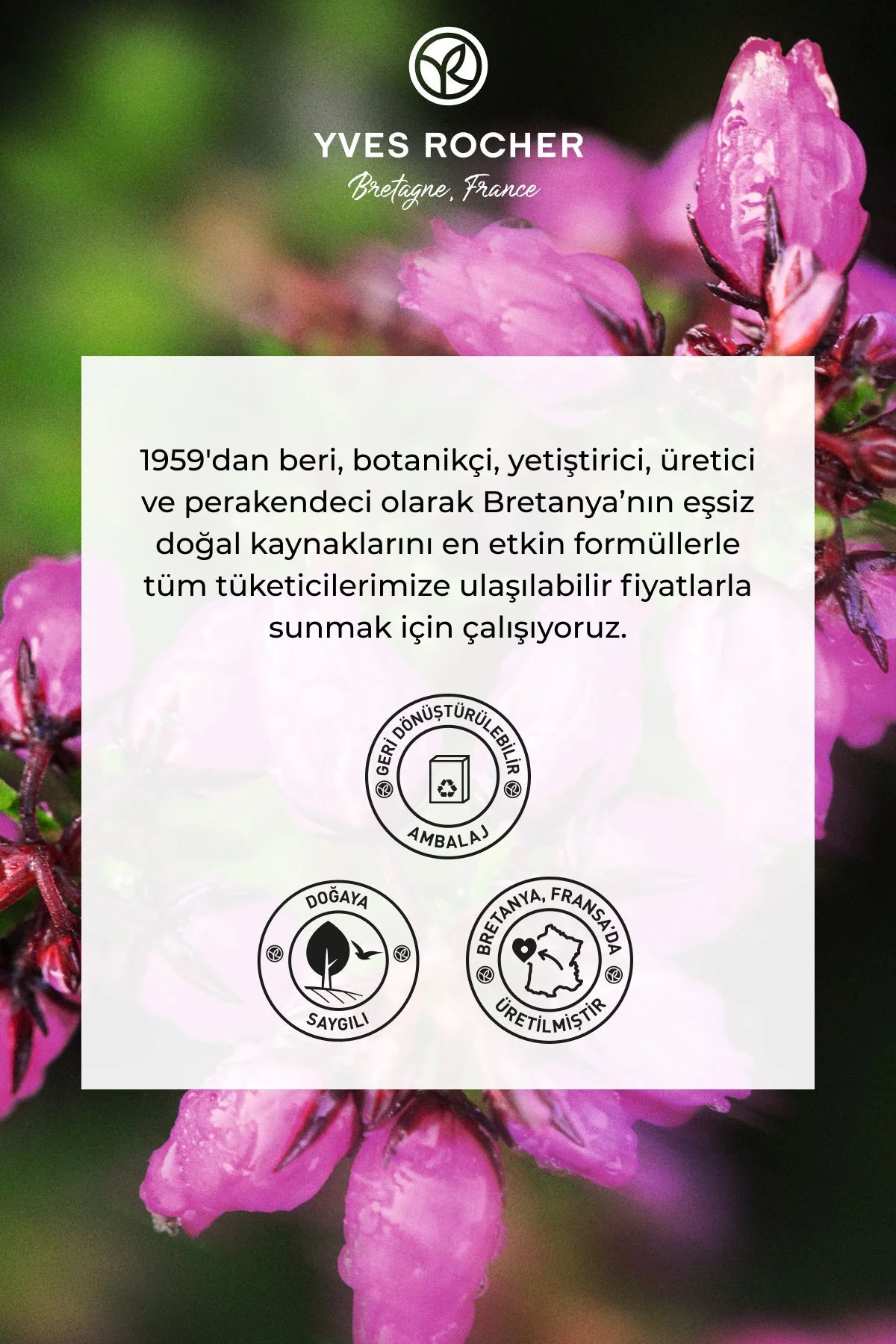 Katı Sabun - Romantik Kır Çiçekleri - 80g-63526