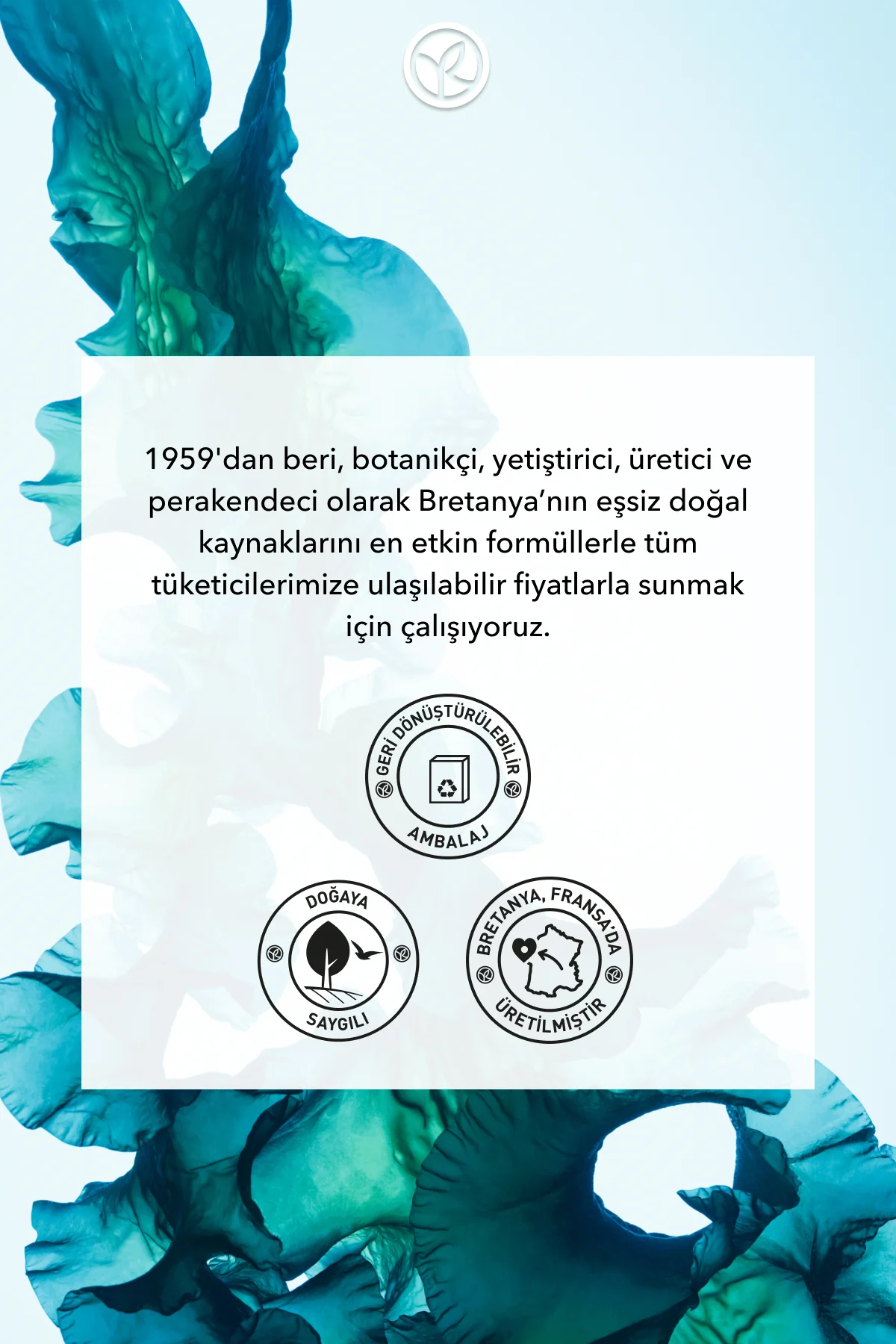 Katı Sabun - Serinletici Okyanus Esintisi -SLS,SLES İçermez,Vegan