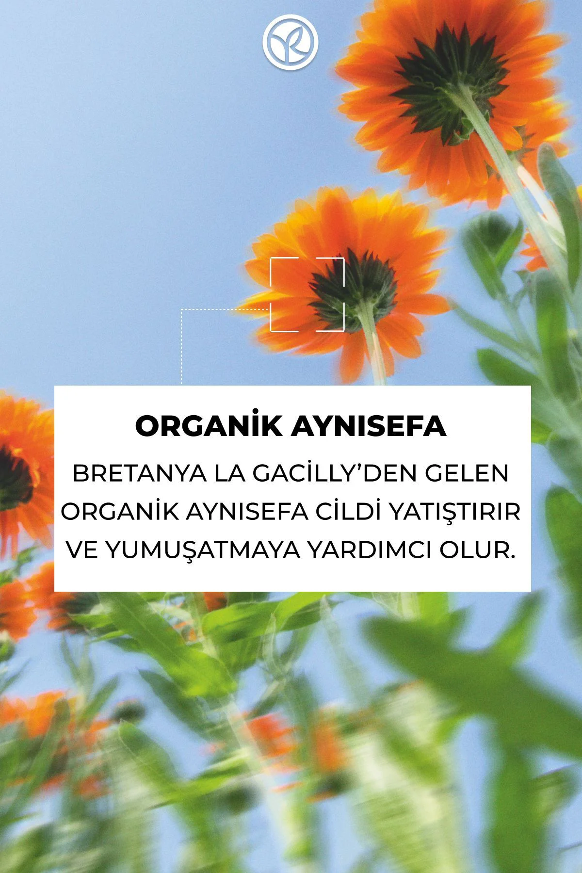 Katı Yüz Temizleyici - Tüm Ciltler-75 gr-9118