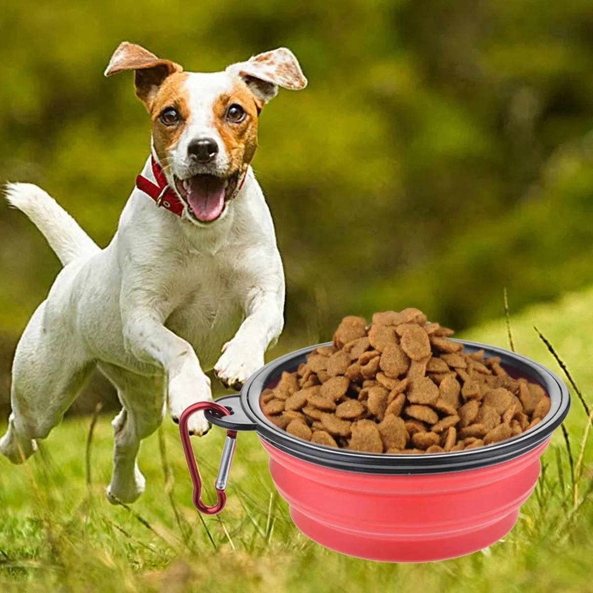 Katlanabilir Kedi Köpek Mama ve Su Kabı Köpek Oyuncağı Katlanabilir Kedi Köpek Mama ve Su Kabı Köpek Oyuncağı