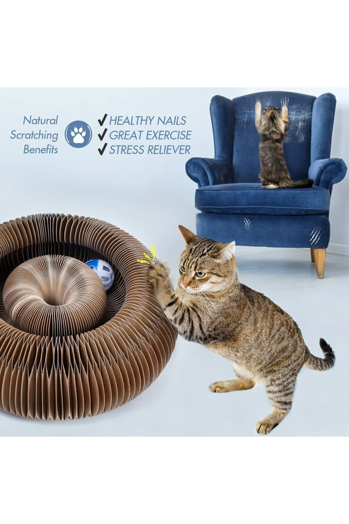Katlanabilir Kedi Tırmalama Oyuncağı – 1 Adet Catnipli Akordeon T
