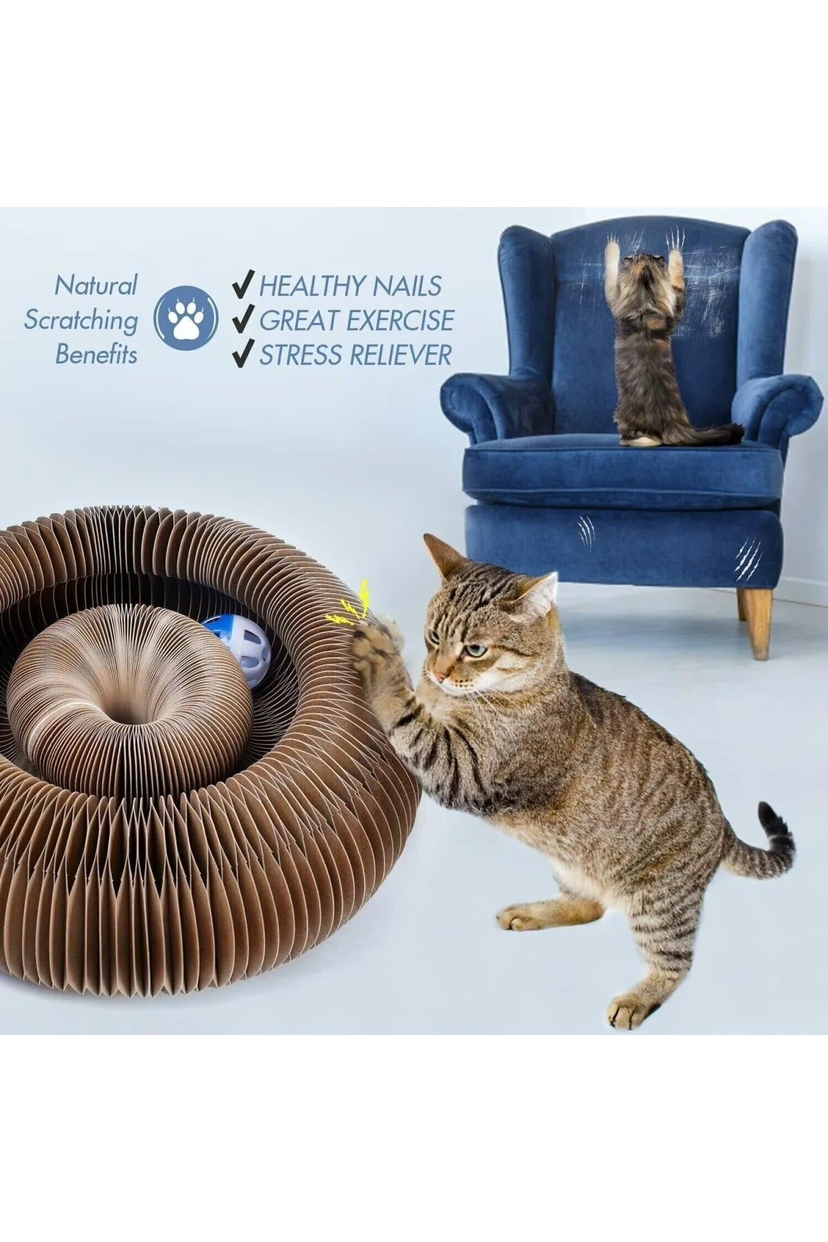 Katlanabilir Kedi Tırmalama Oyuncağı – 1 Adet Catnipli Akordeon T