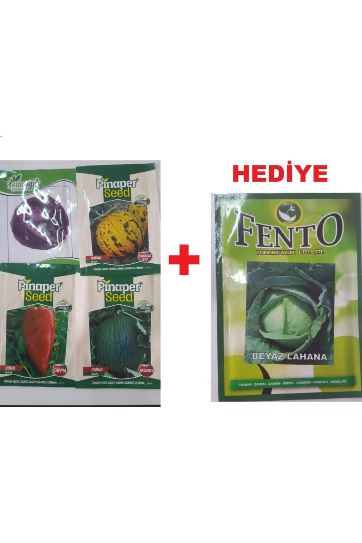 Pinaper Seed Kavun Tohum-Kavun Toh.(Hasanbey)-Biber Toh.(Cappıa)-Kırmızı Lahan