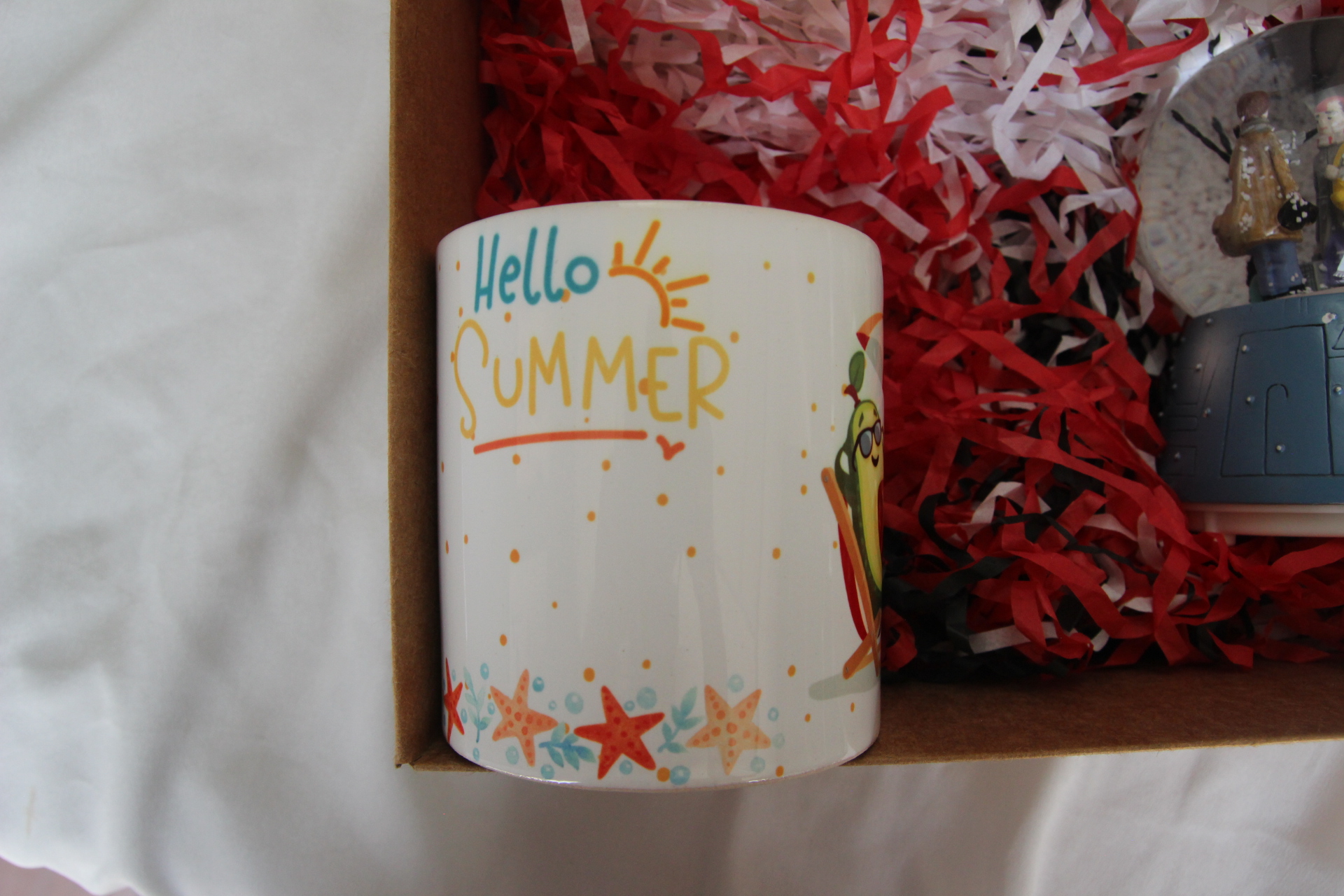 Kavuşan Sevgili Kar Küresi Ve Avokado Temalı Kupa Bardak En İyi Hediye Kutusu