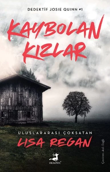 Kaybolan Kızlar Fiyatı, Yorumları ve Özellikleri