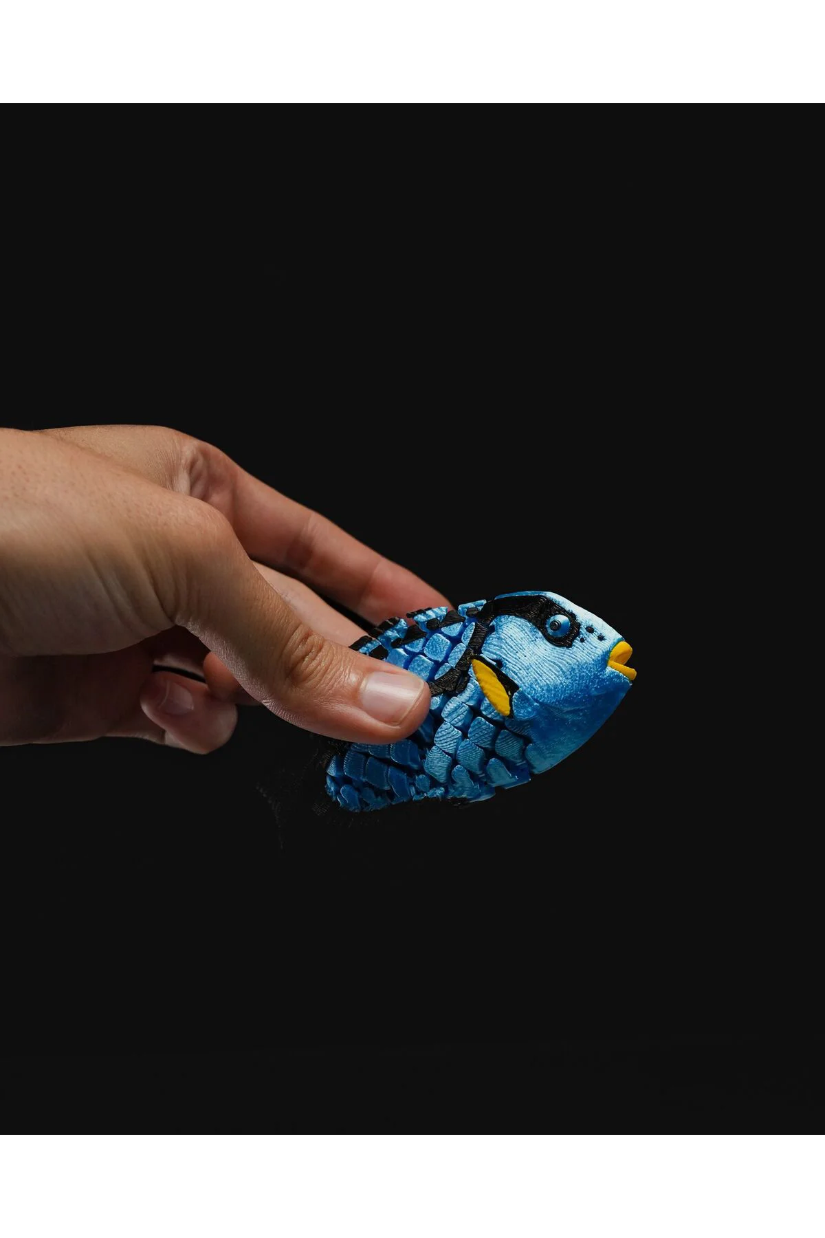 Kayıp Balık Nemo Mavi Tang Cerrahbalığı Standlı Dekoratif Obje 11