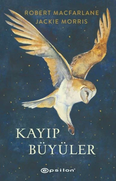 Kayıp Büyüler Fiyatı, Yorumları ve Özellikleri
