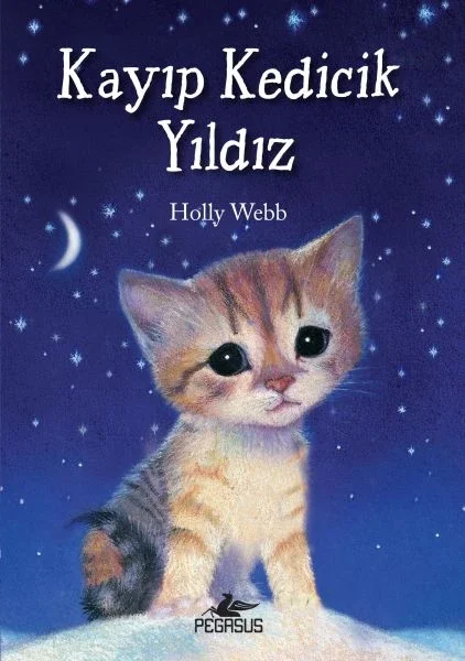 Kayıp Kedicik Yıldız Fiyatı, Yorumları ve Özellikleri
