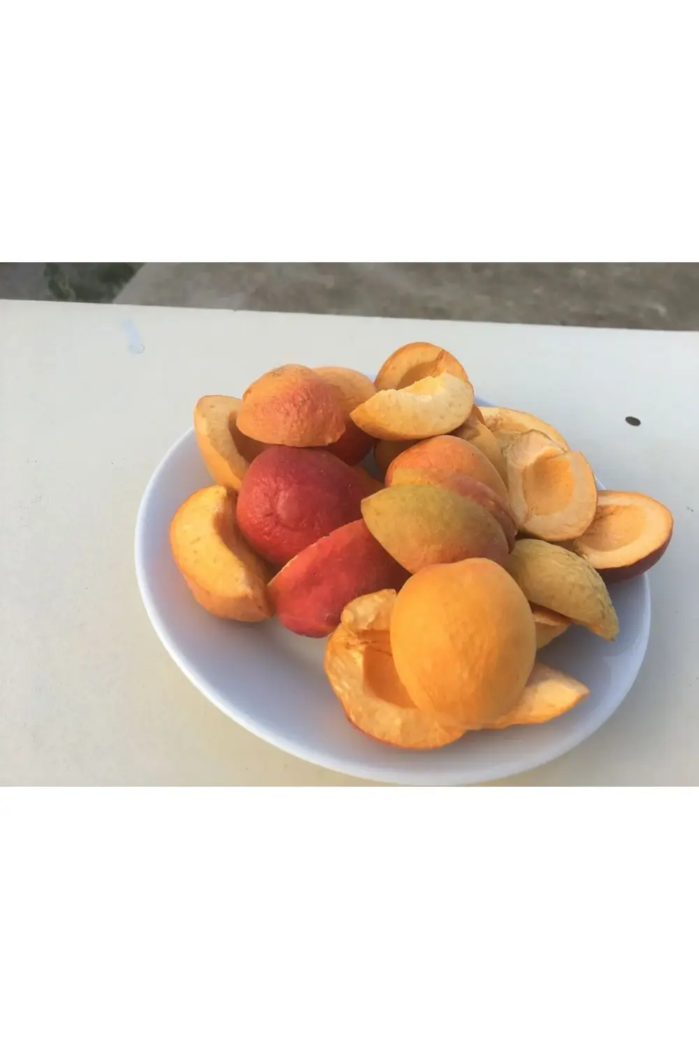 Kayısı Kıtırı - Freeze Dried - Üretici Firmadan Dondurularak Kuru