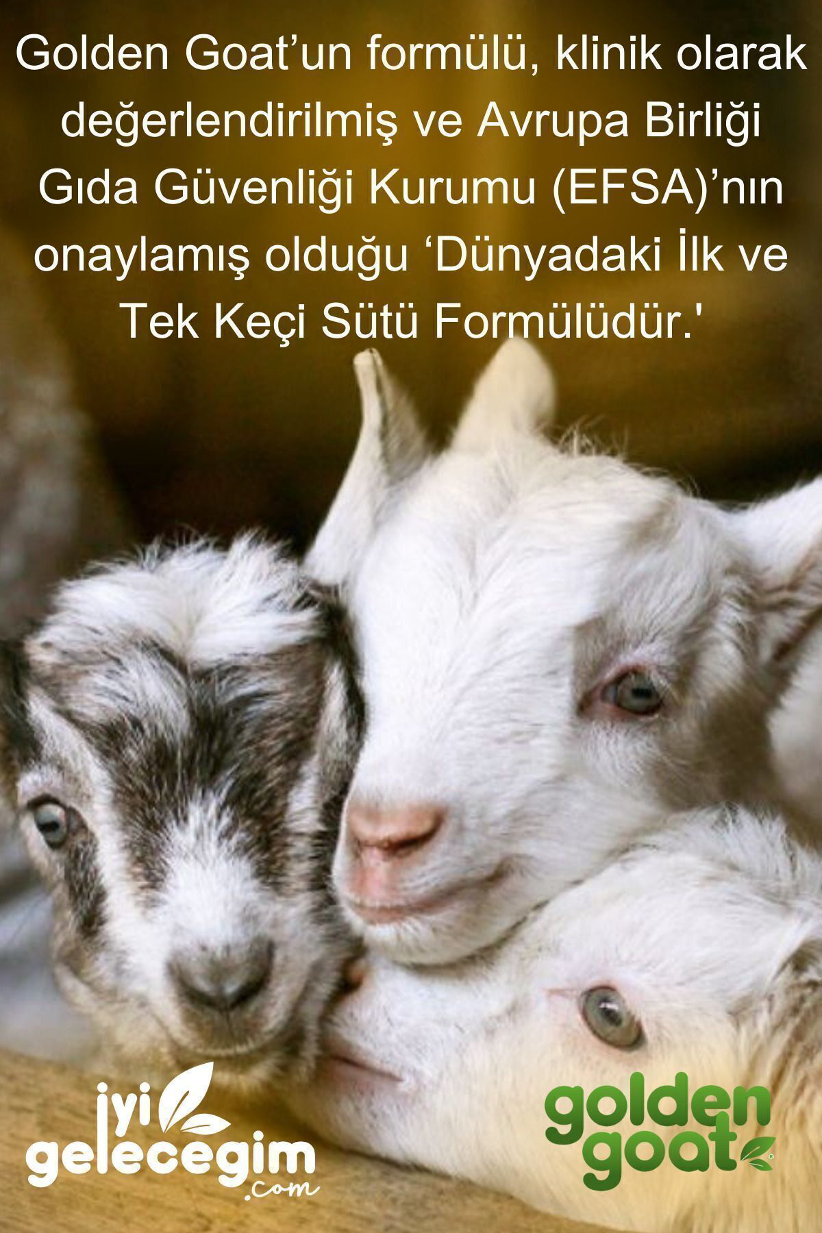 Golden Goat Keçi Bebek Sütü 1 Numara 400 Gr 6'Li Paket