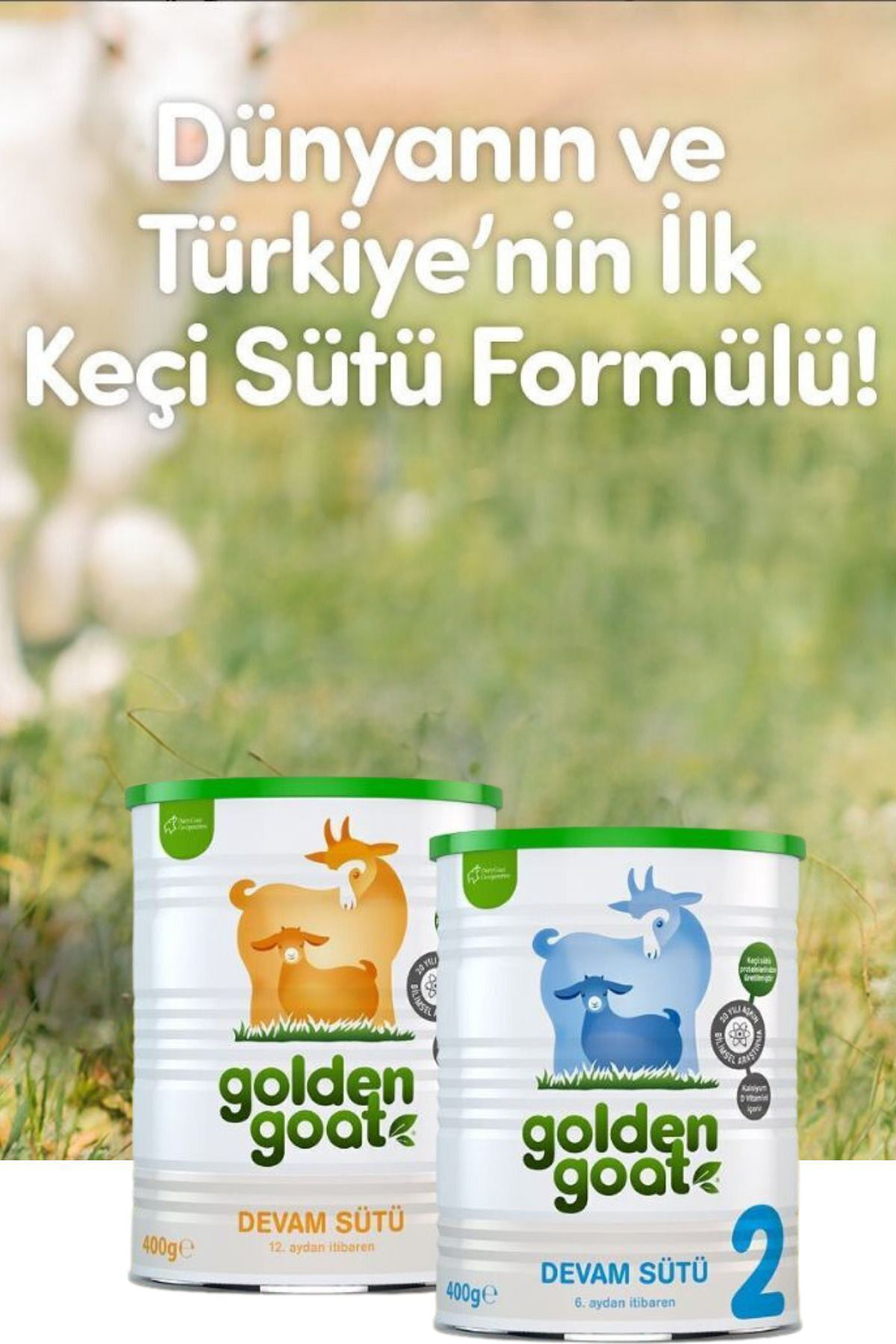 Golden Goat Keçi Bebek Sütü 1 Numara 400 Gr 6'Li Paket
