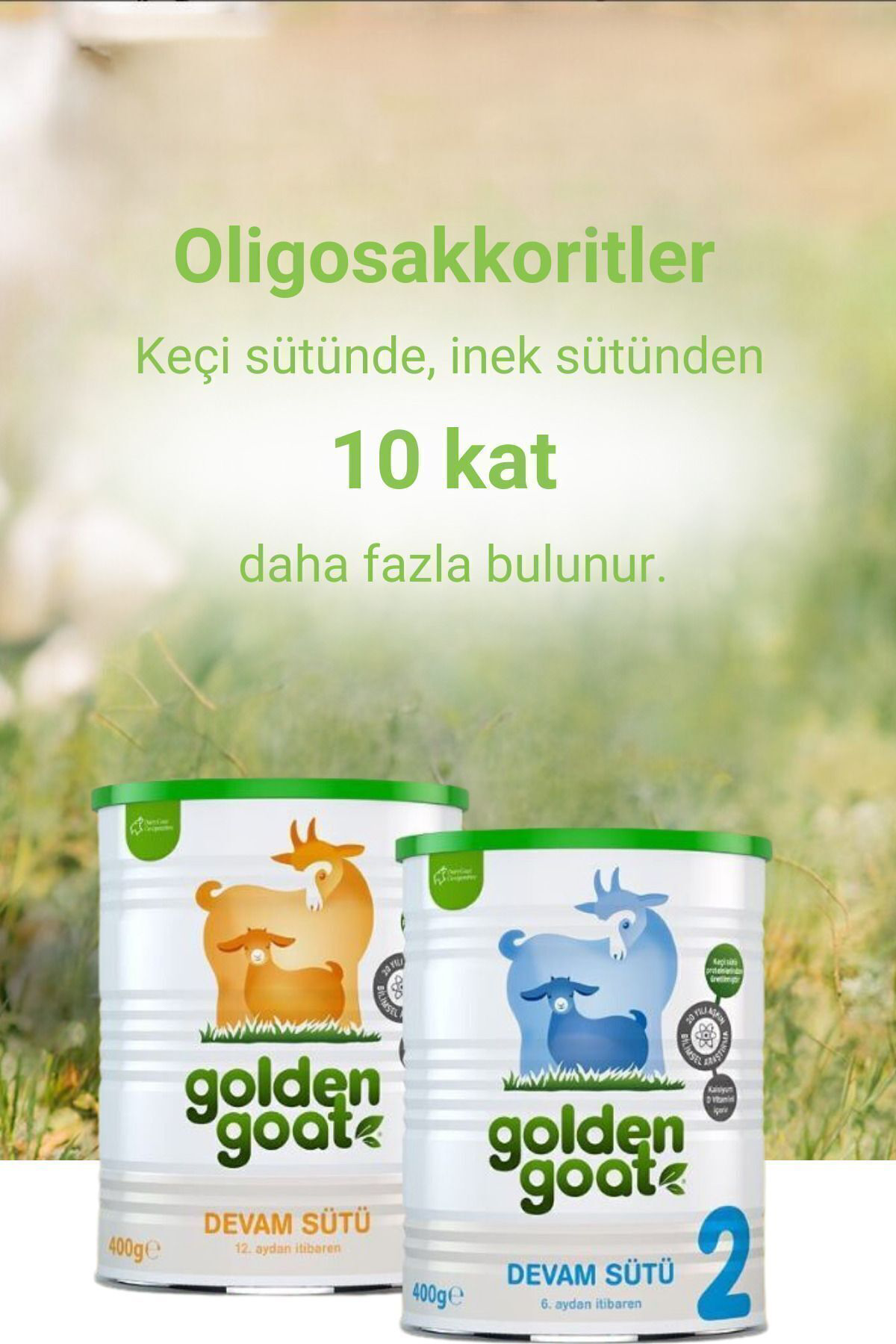 Golden Goat Keçi Bebek Sütü 1 Numara 400 Gr 6'Li Paket