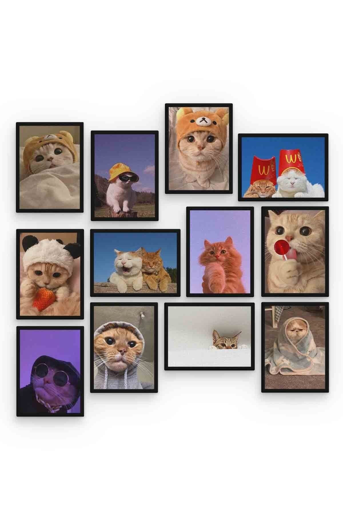 Kedi 12 Parça Mdf (ahşap) Tablo Ofis Boyu 