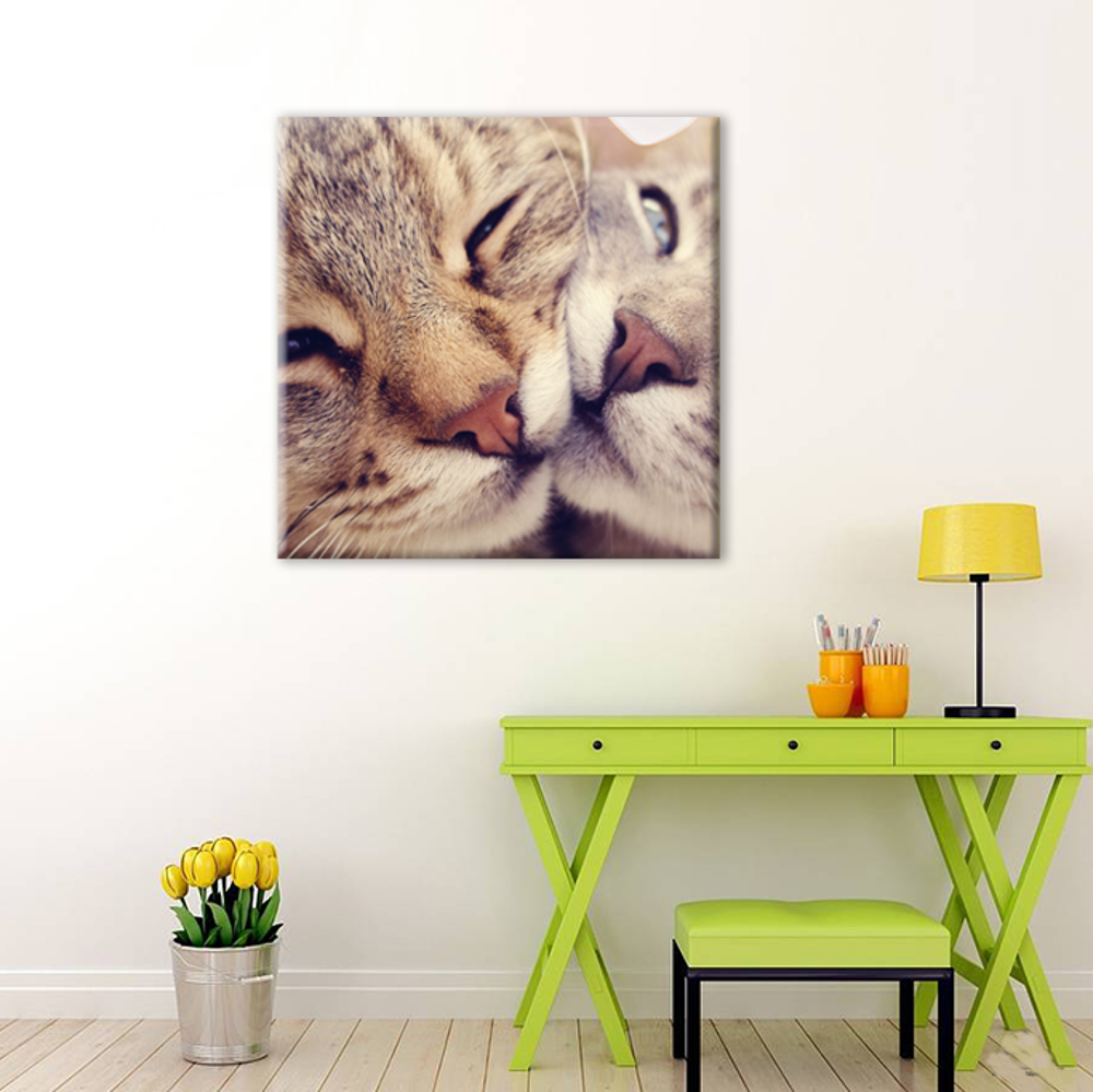 Kedi Çift Kanvas Tablo Kedi Çift Kanvas Tablo