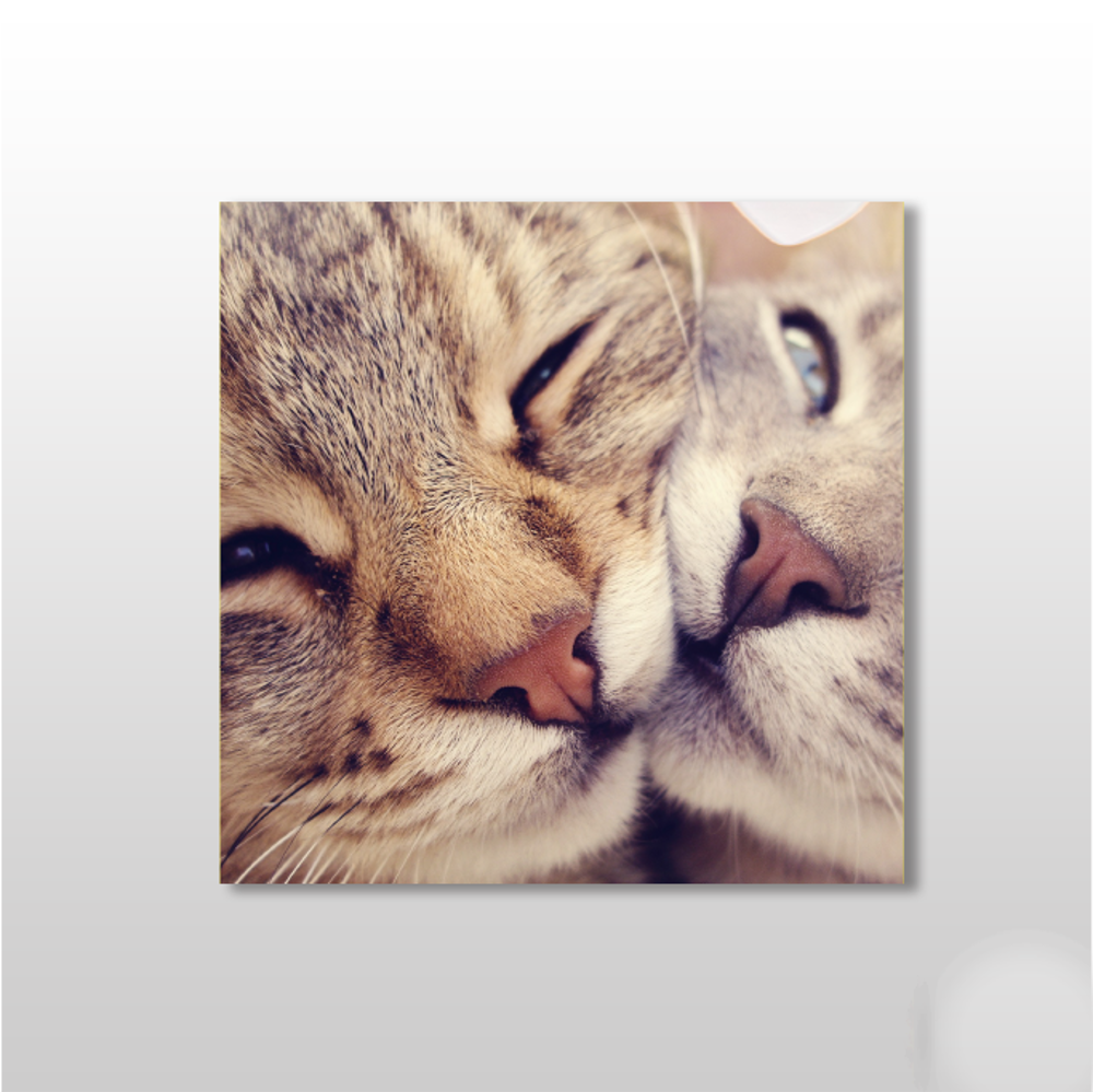 Kedi Çift Kanvas Tablo Kedi Çift Kanvas Tablo