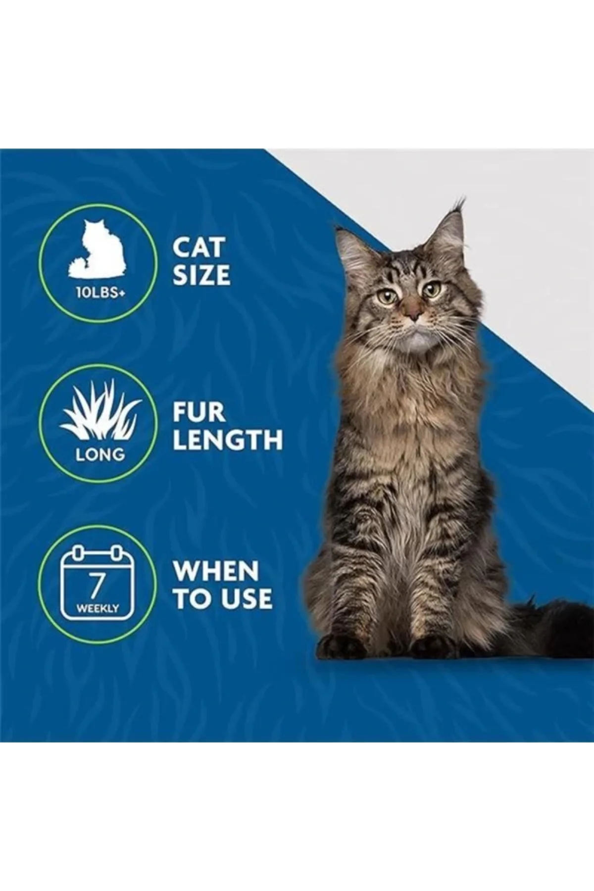 Kedi deShedding Aracı, Kediler İçin DeShedding Fırçası, Gevşek Saçları Kaldırır Büyük