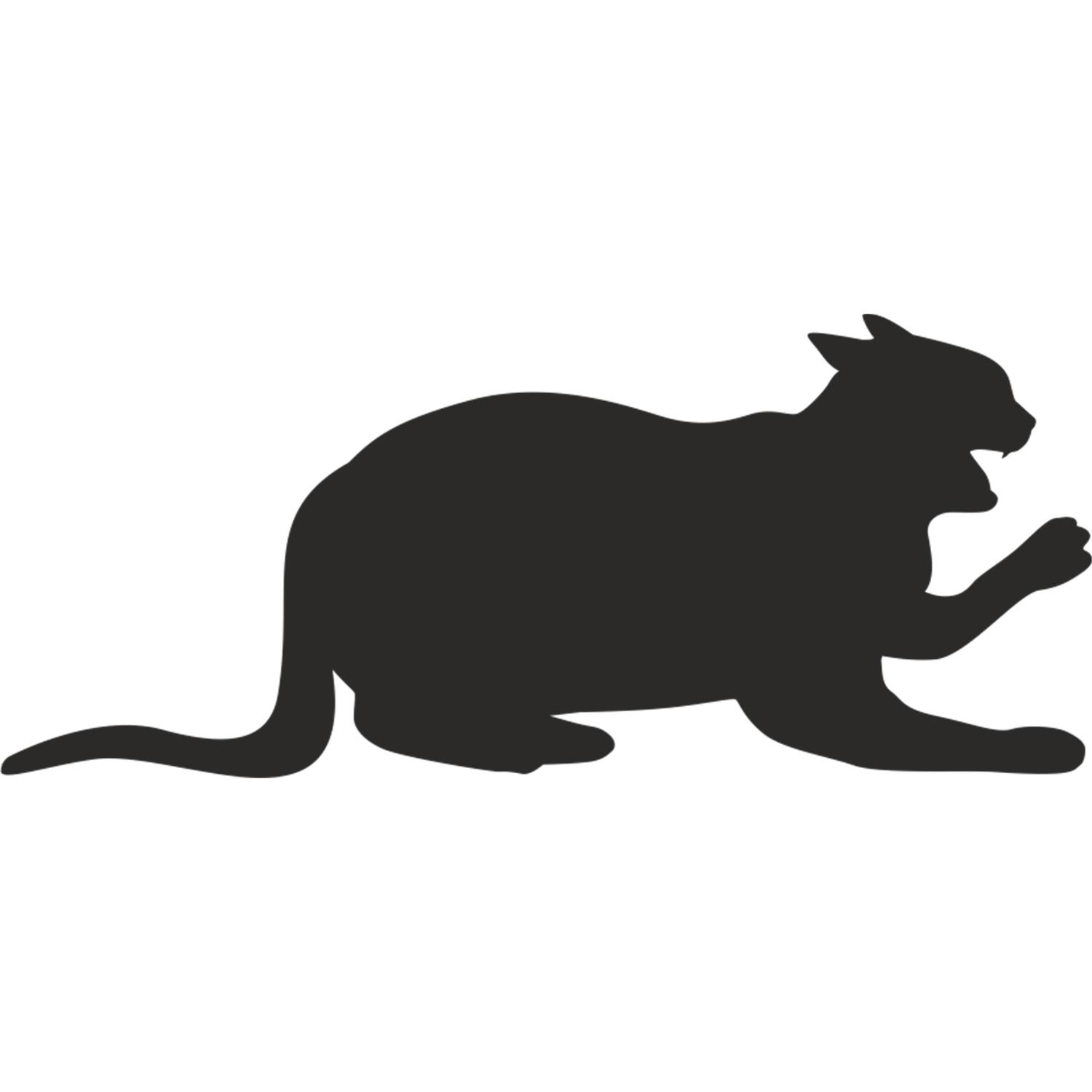 KEDİ FOLYO STİCKER