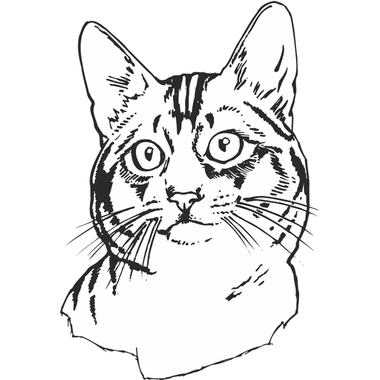 KEDİ FOLYO STİCKER KEDİ FOLYO STİCKER