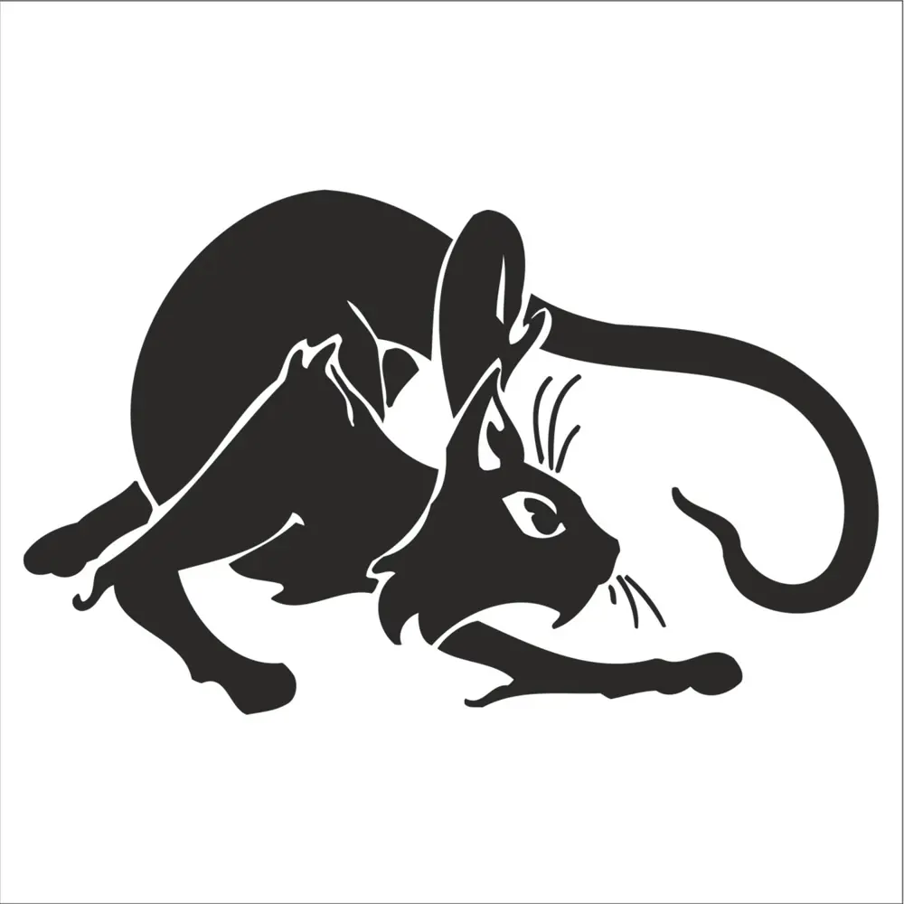 KEDİ FOLYO STİCKER KEDİ FOLYO STİCKER