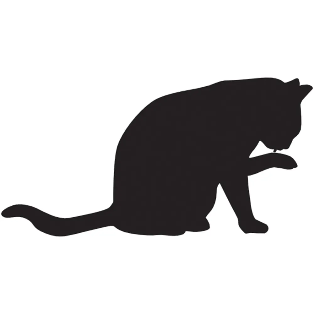 KEDİ FOLYO STİCKER