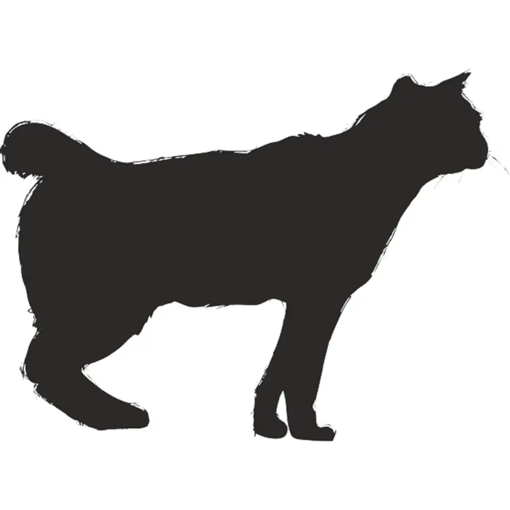 KEDİ FOLYO STİCKER