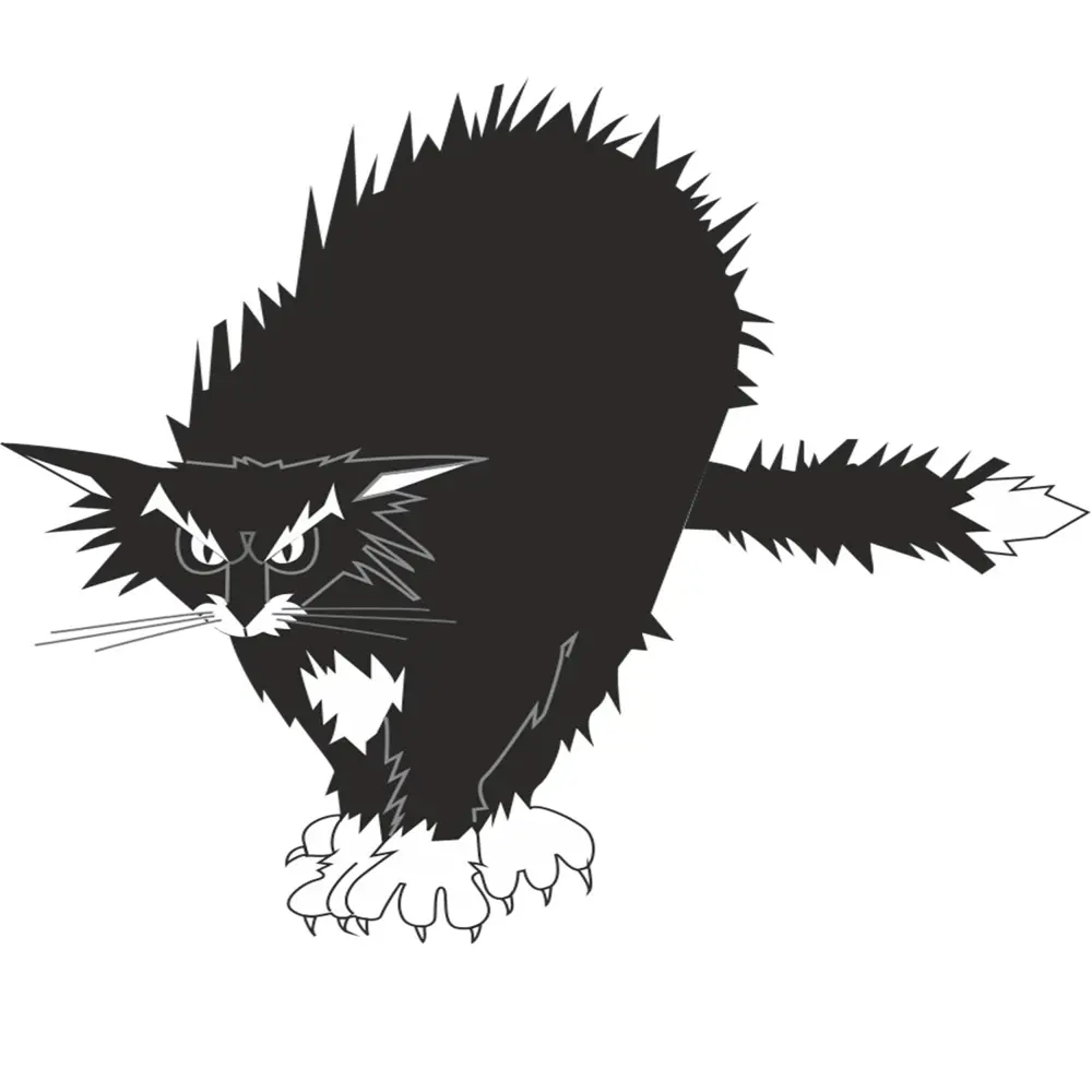 KEDİ FOLYO STİCKER