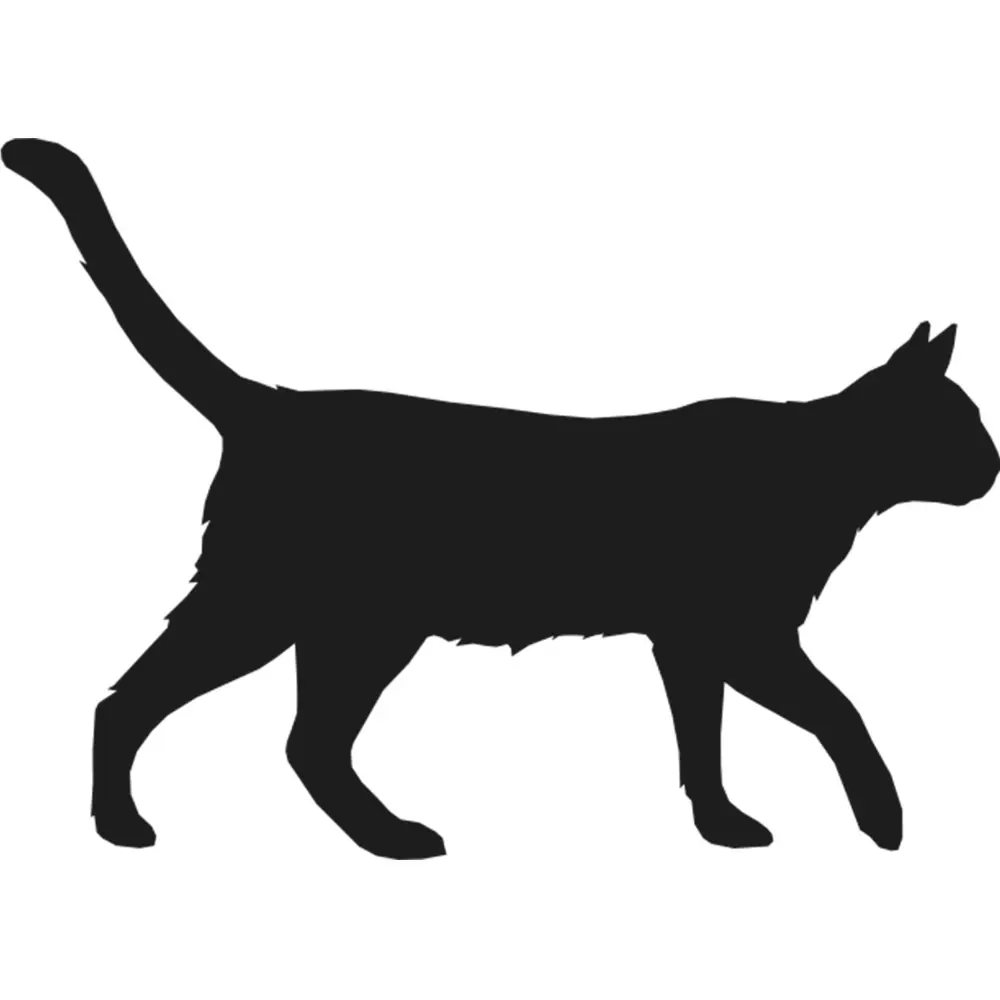 KEDİ FOLYO STİCKER KEDİ FOLYO STİCKER