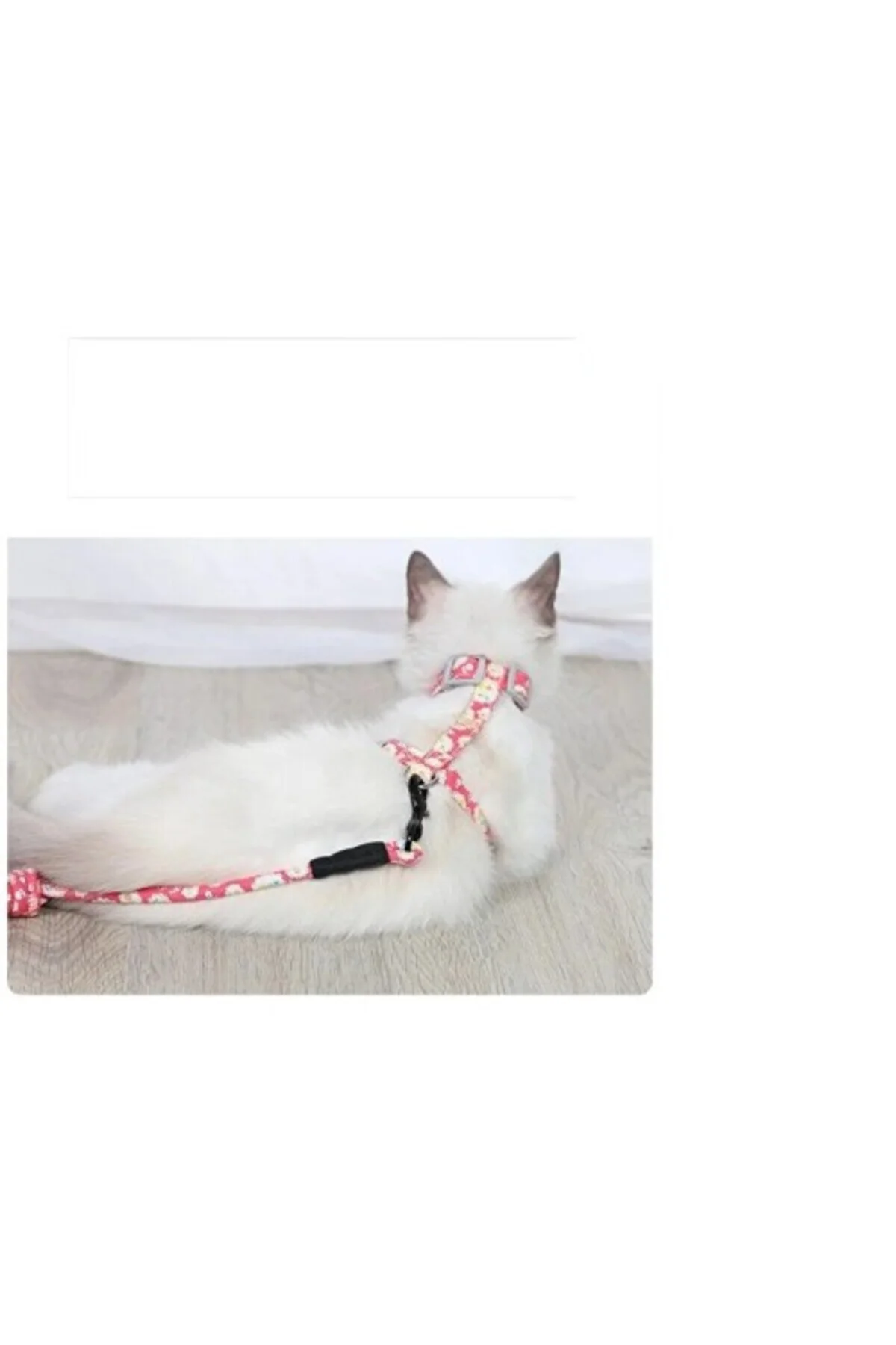 Kedi Gezdirme Göğüs Tasması - Görsel 3