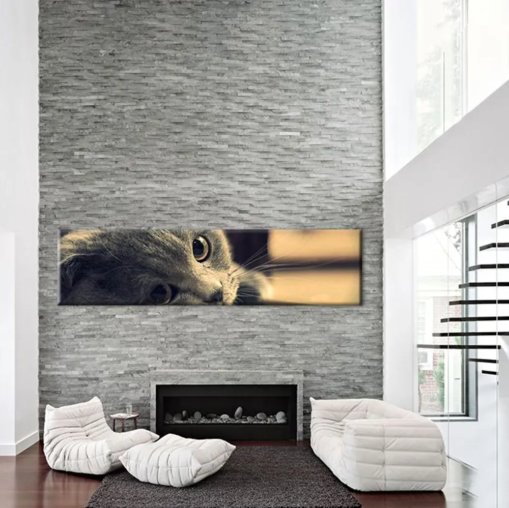 Kedi Kanvas Tablo Kedi Kanvas Tablo