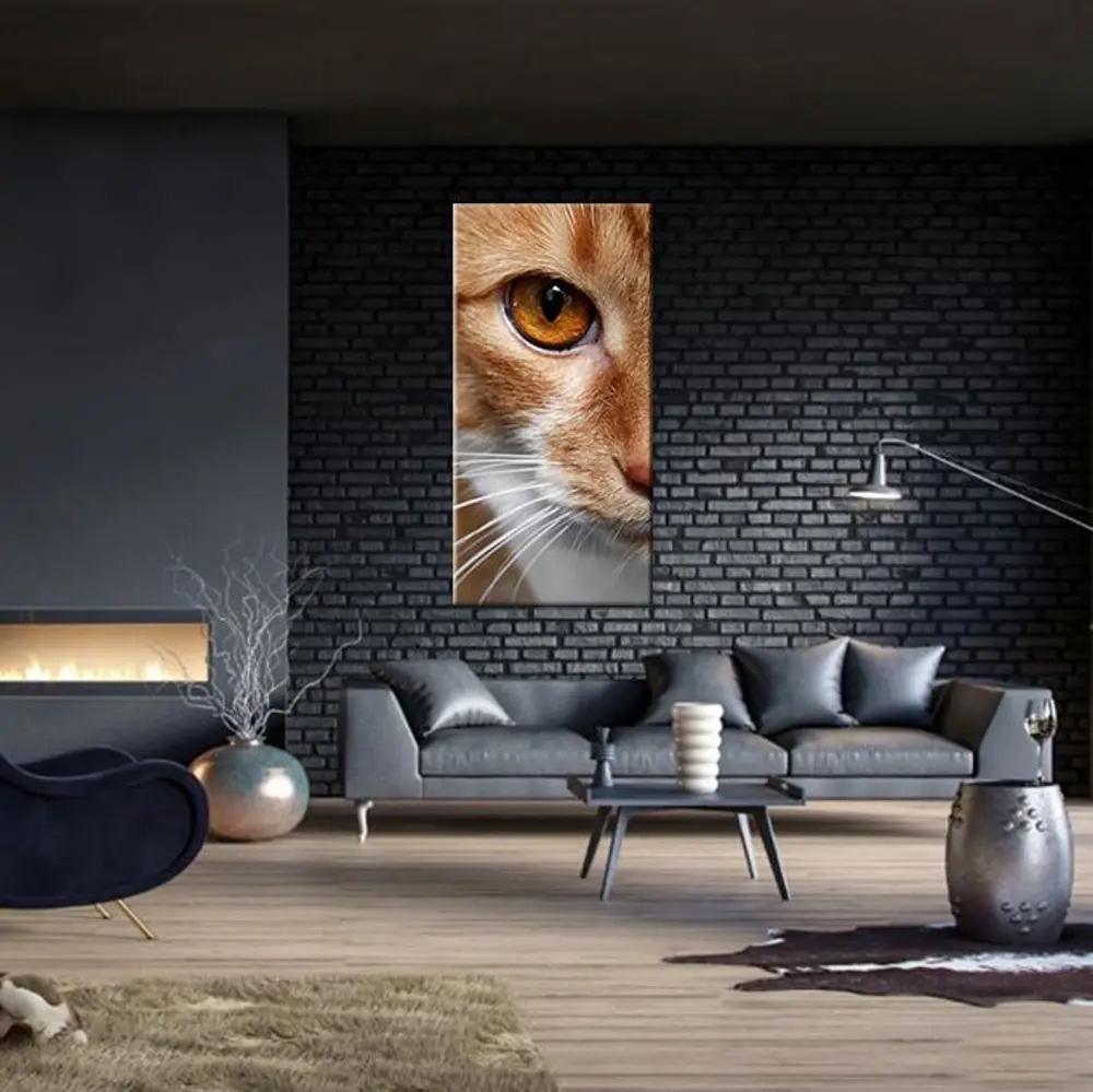 Kedi Kanvas Tablo