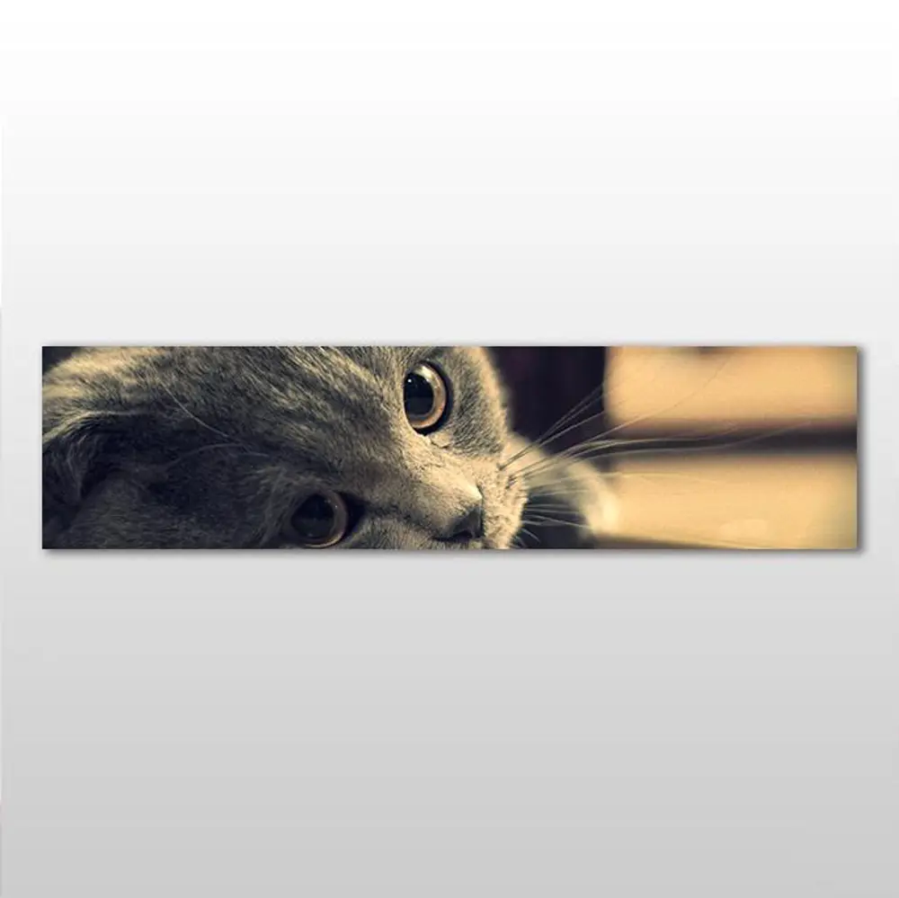Kedi Kanvas Tablo Kedi Kanvas Tablo