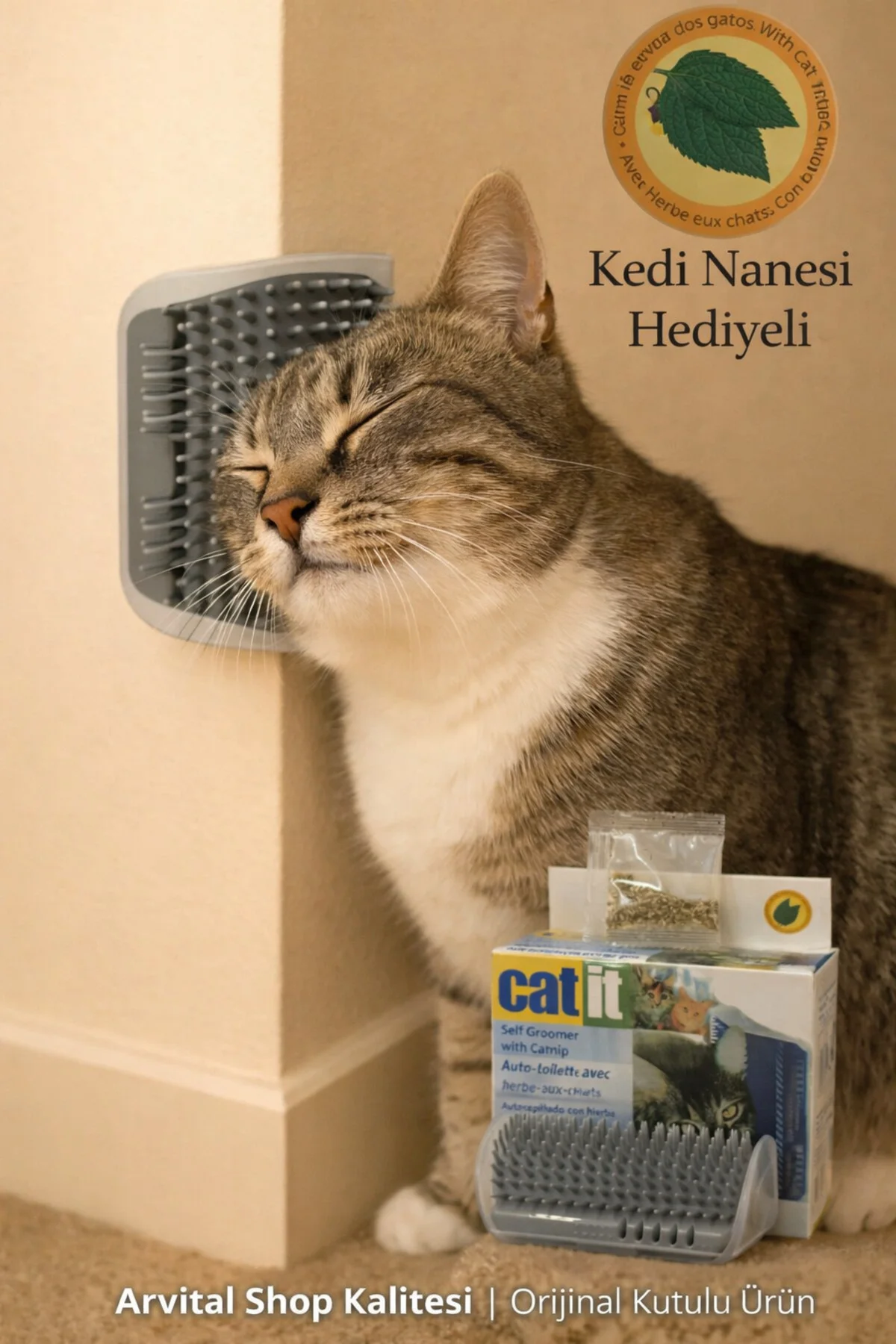 Kedi Kaşıma - Kaşınma Aparatı Catit (Kedi Nanesi Hediyeli)