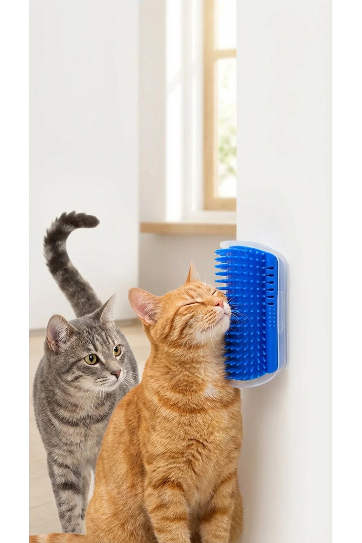Kedi Kaşıma - Kaşınma Aparatı Catit (Kedi Nanesi Hediyeli)