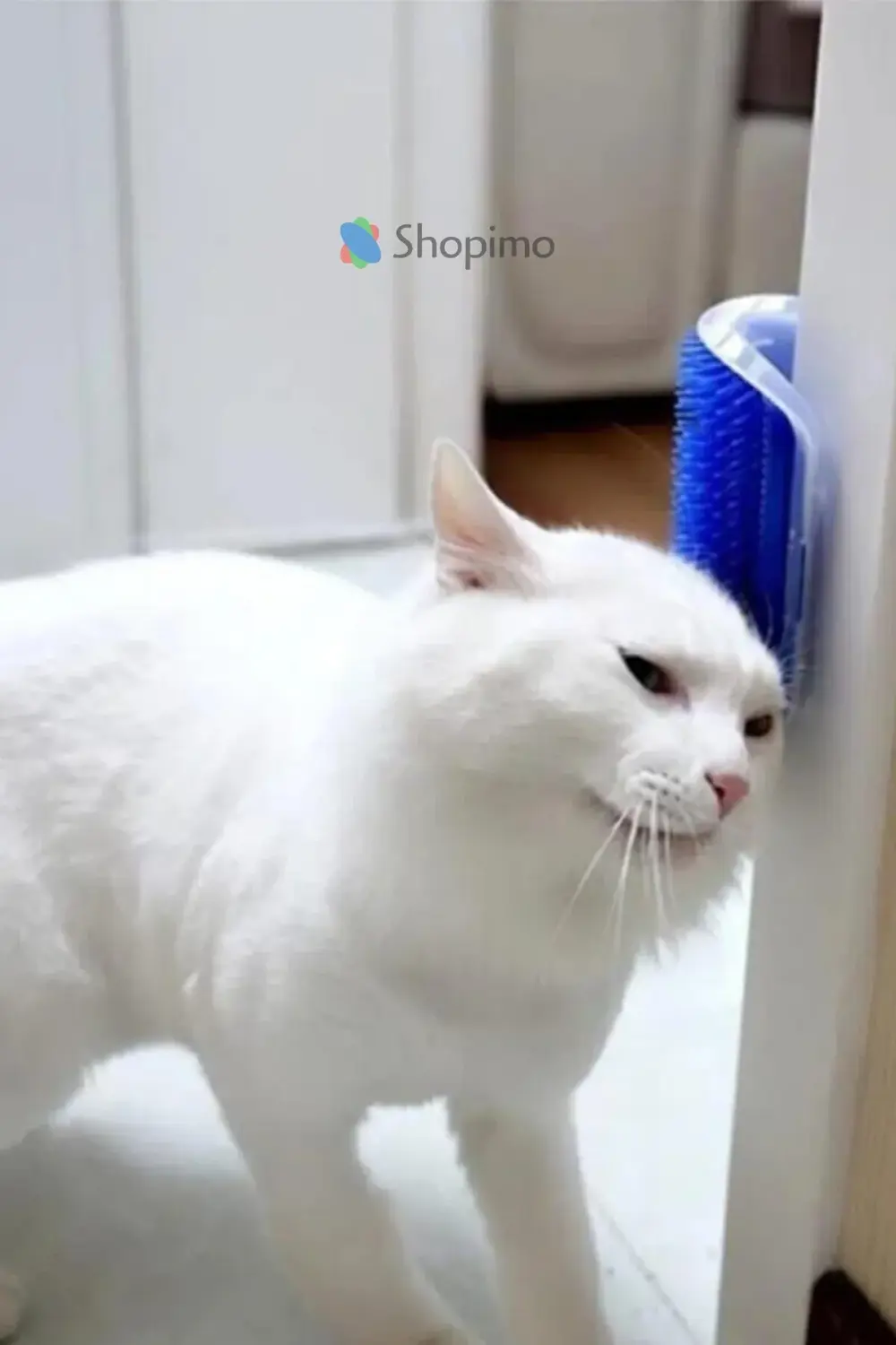 Kedi Kaşınma Aparatı - Duvara Monte Edilebilir Tüy Toplayıcı & Ma