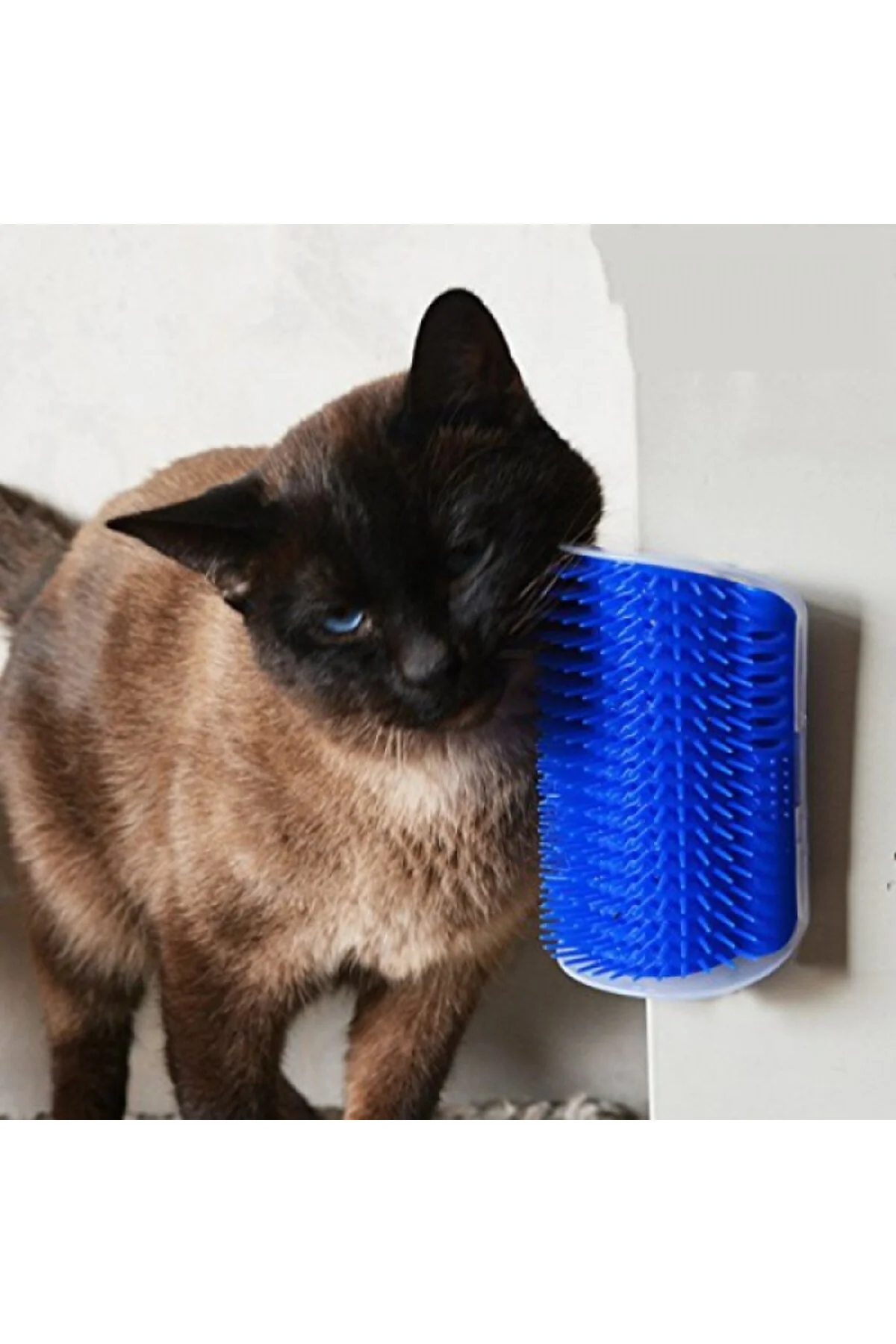 Kedi Kaşınma Aparatı