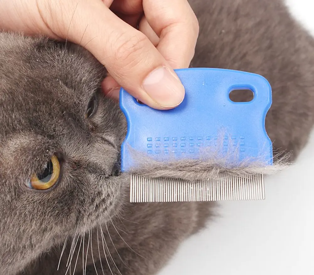 Kedi Köpek Bit ve Pire Tarağı Kedi Köpek Bit ve Pire Tarağı
