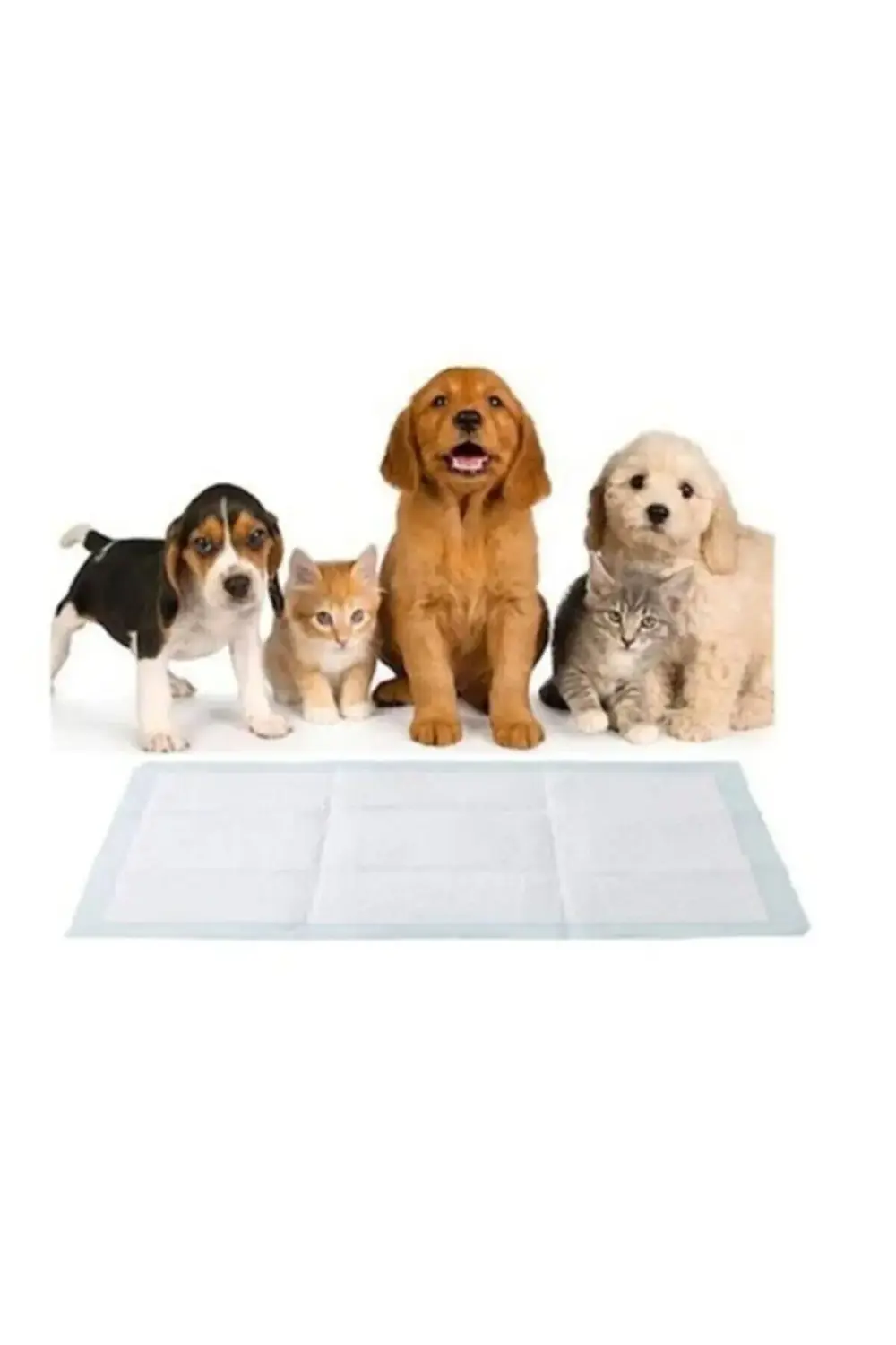 Kedi Köpek Çiş Pedi Serme 60x90cm 30 Adet
