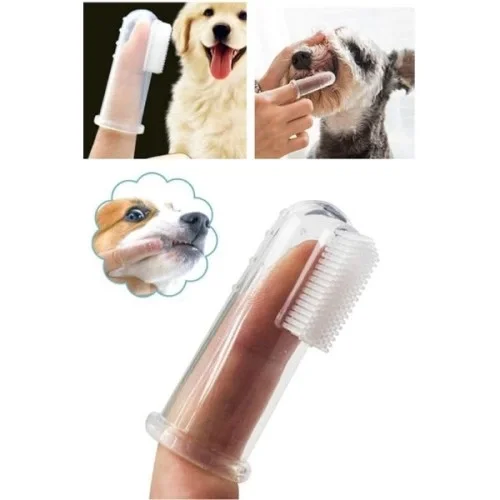 Kedi Köpek Diş Temizleme Fırçası Fiyatı, Yorumları ve Özellikleri